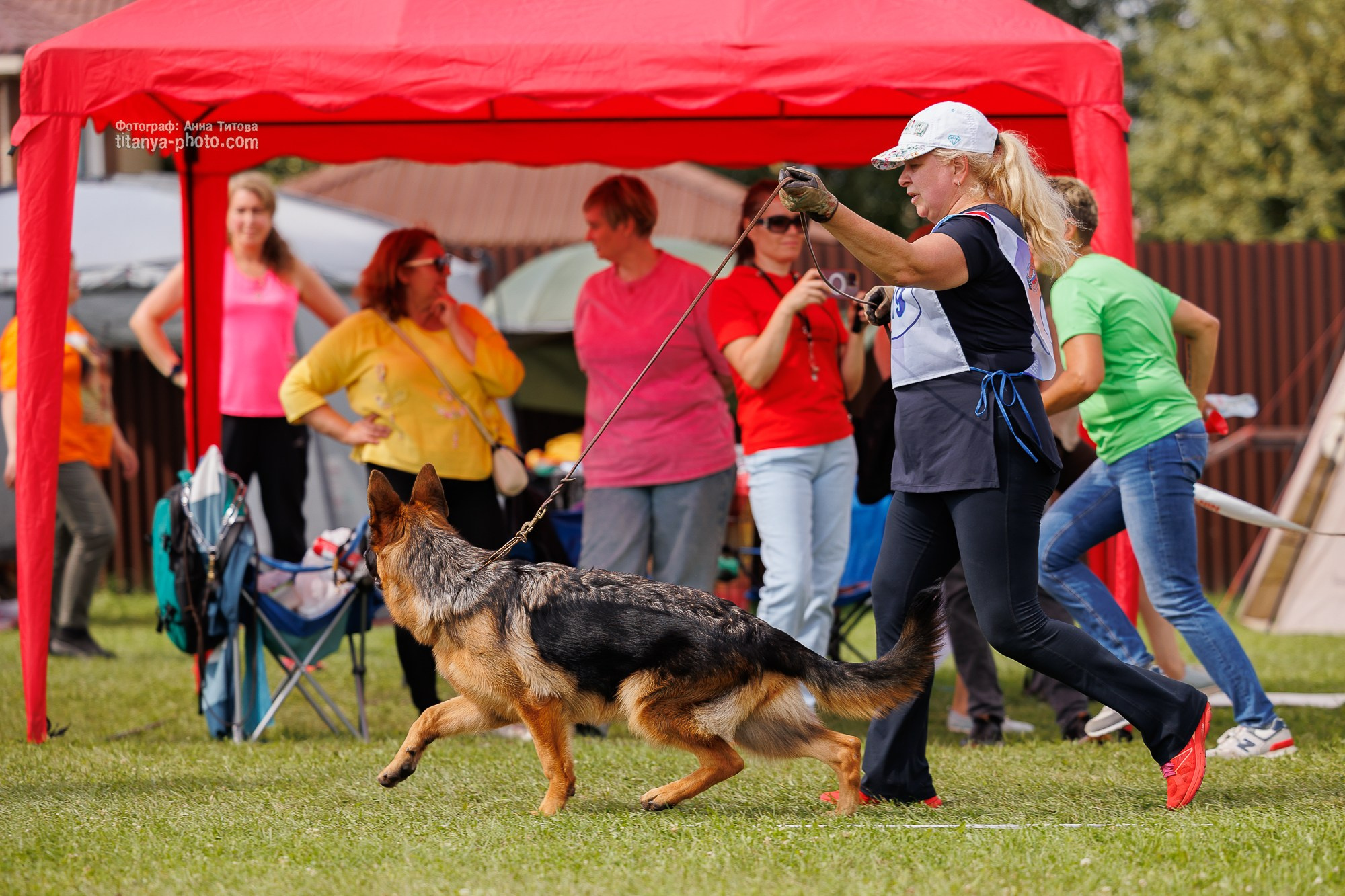 Немецкие овчарки: фото из рингов и вне ринга, мутпроба (фотографии с выставок). Фотограф собак, фотограф-анималист Аня Титова (Titanya). Москва