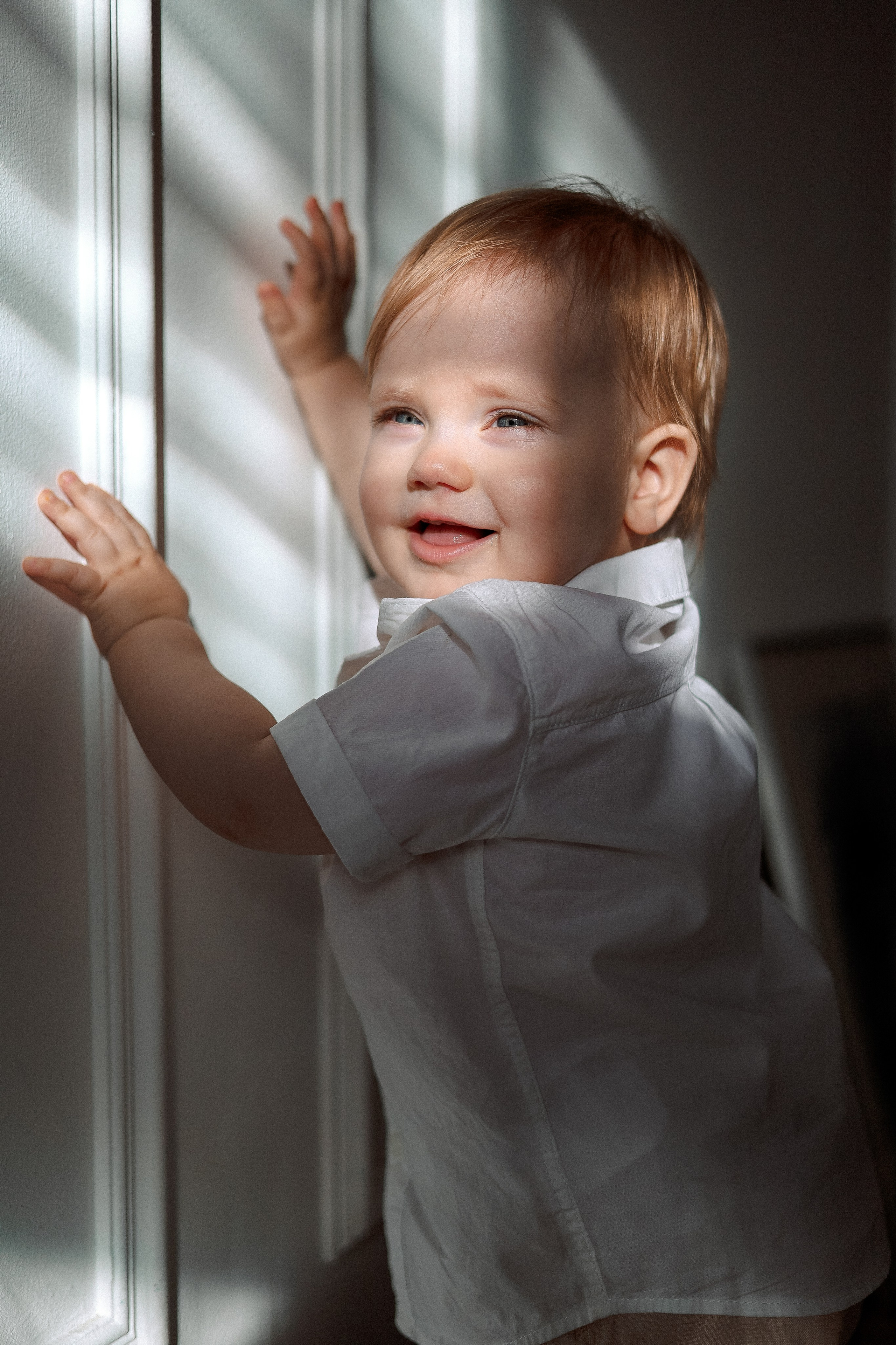 Лев 1 годик. Главная