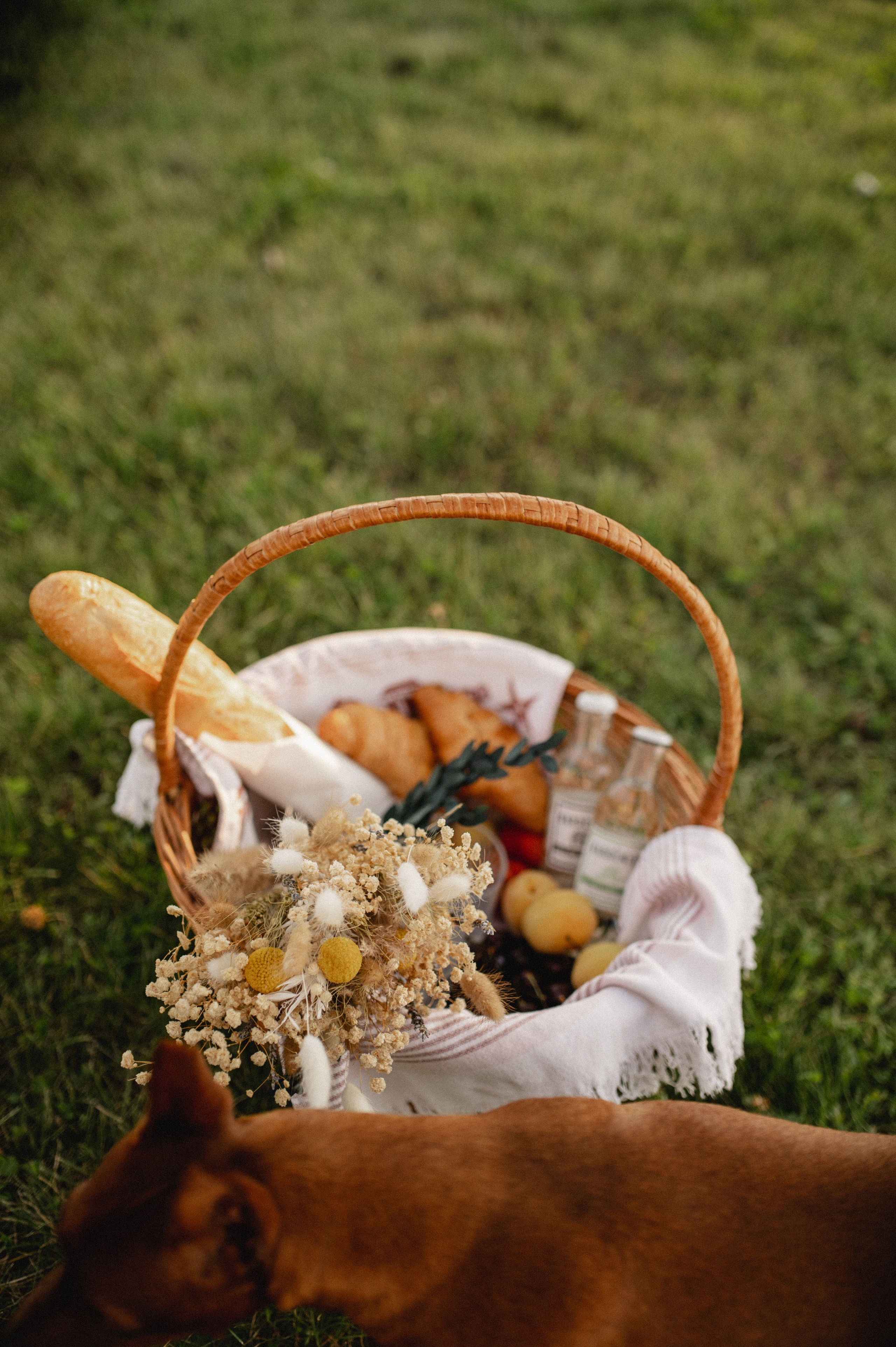 Фотосессия беременности на природе в парке Москвы. Семейная фотосессия Бутово Москва фотограф Алина Морщагина