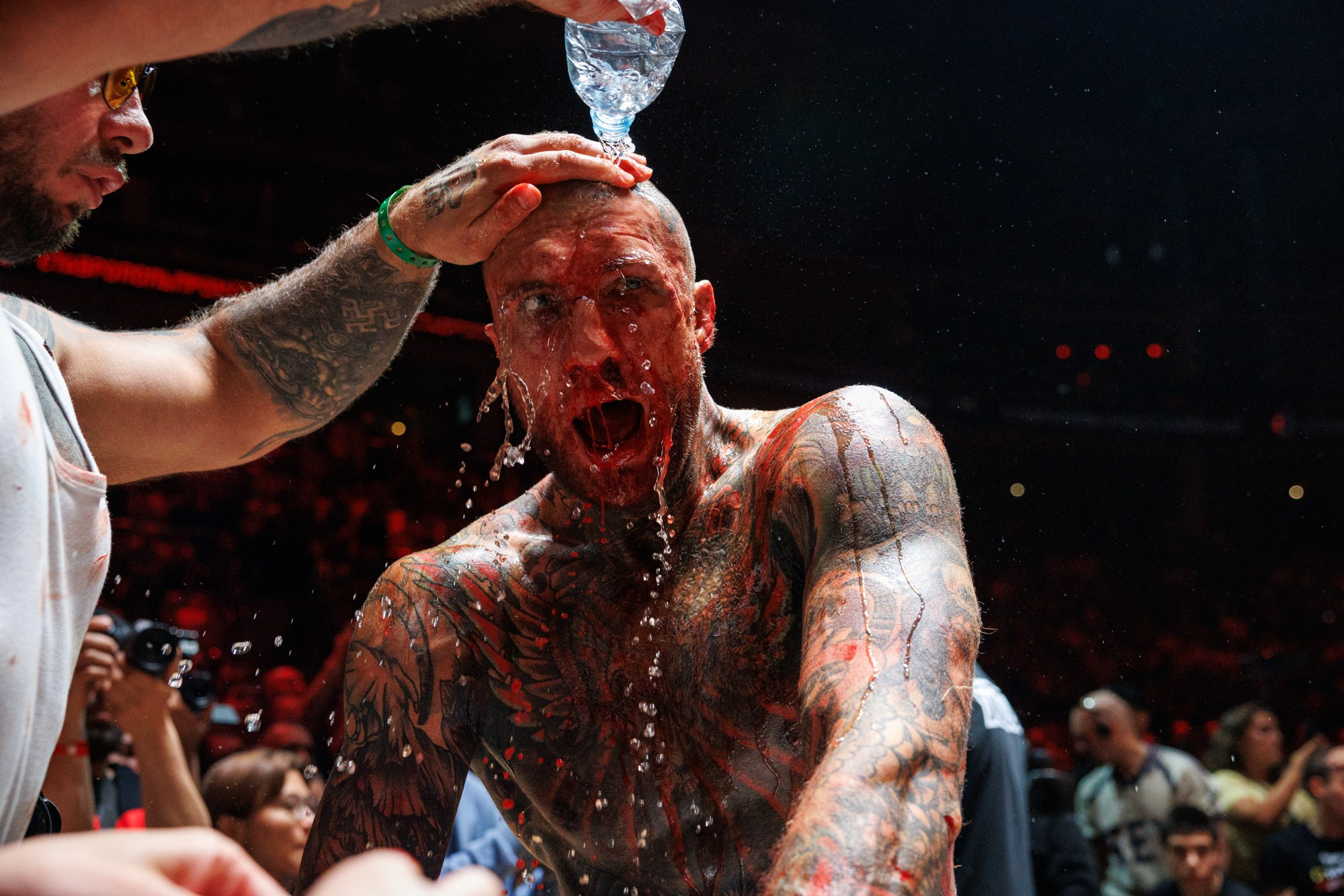 Бои Top Dog. Репортажный и предметный Фотограф в Москве