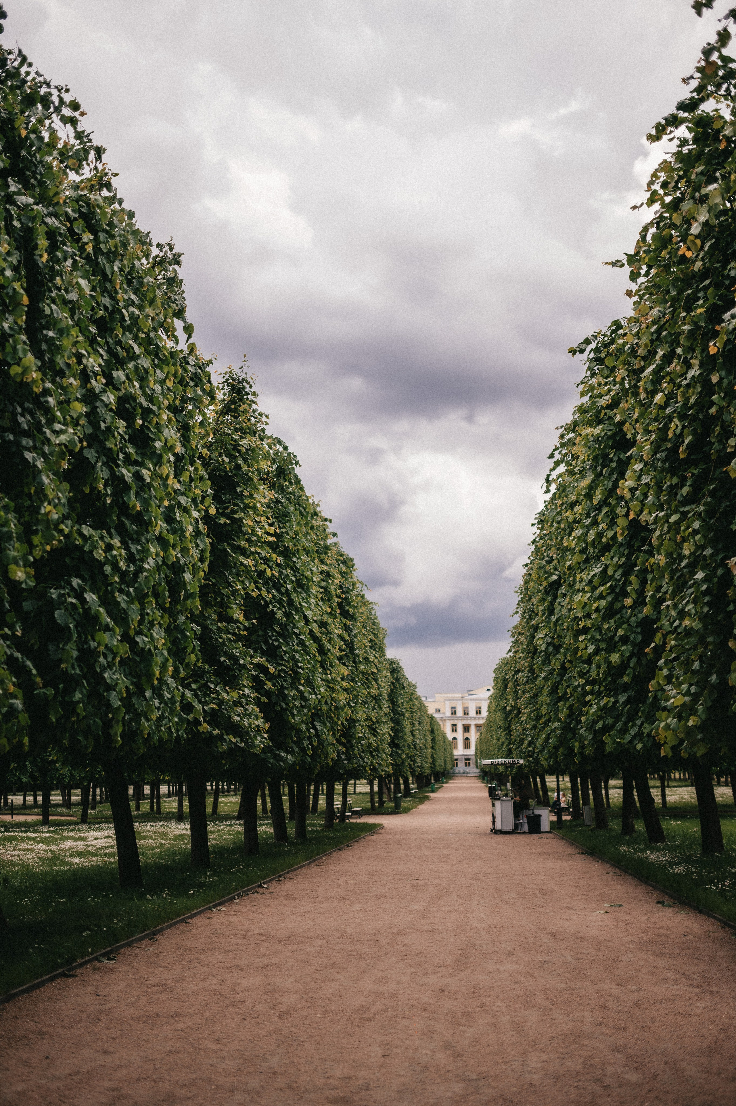 Максим и Лика. Архангельское. Семейный и свадебный lifestyle-фотограф в Москве Мария Петрова