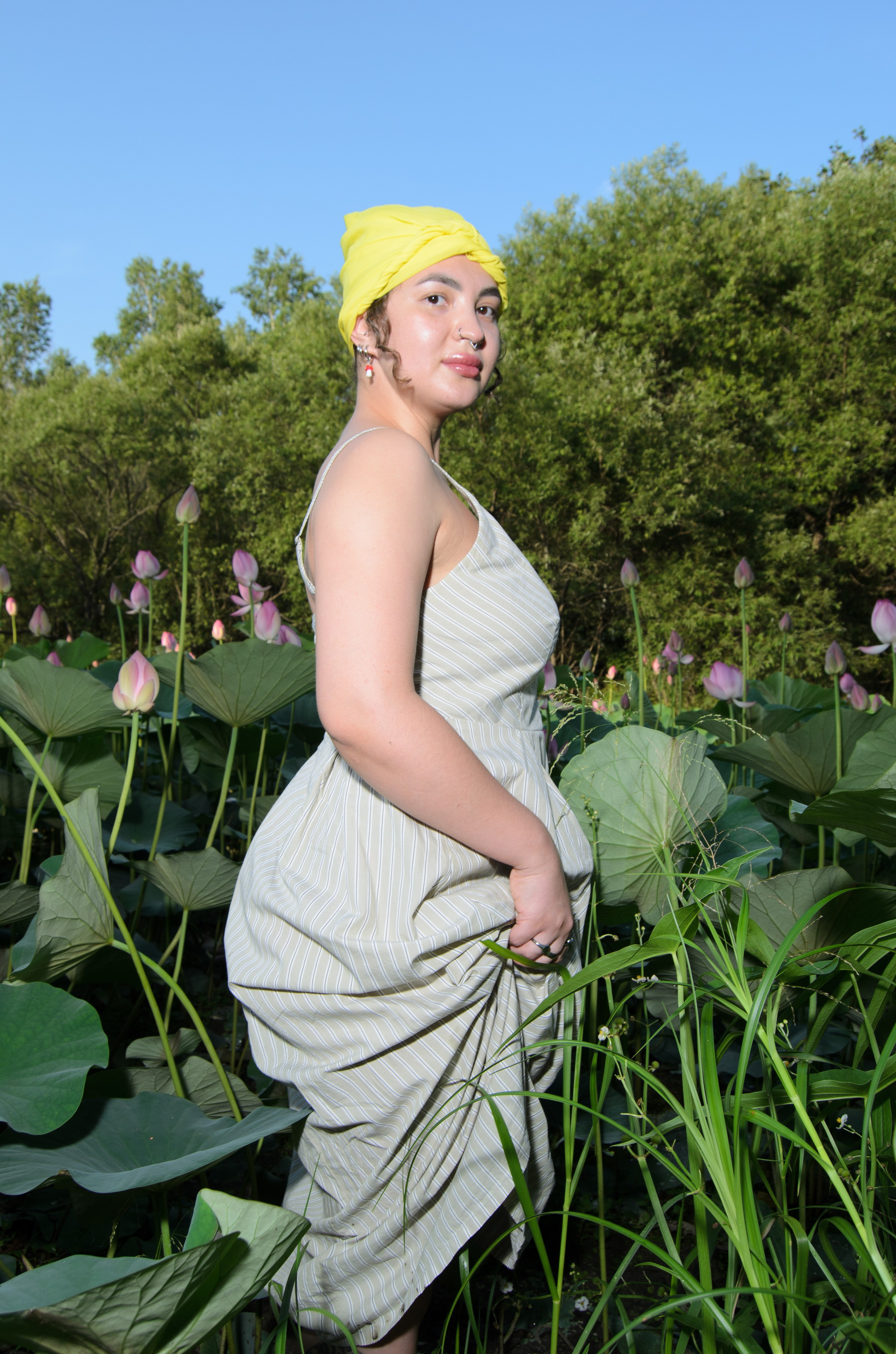 Лотосы. Колентеева Наталья/фотограф