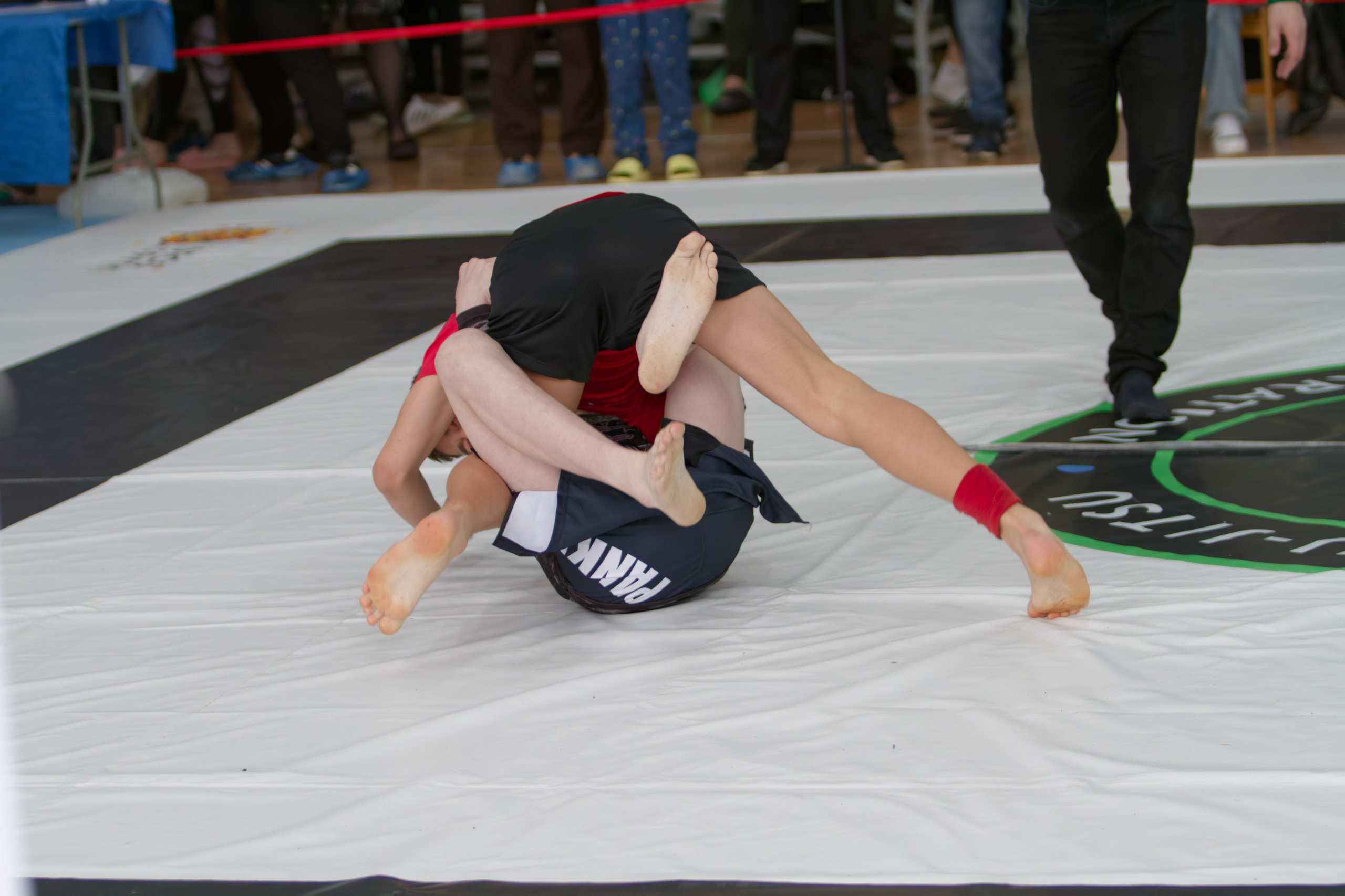 Борьба. Джиу-джитсу 26.04.2025. Репортажный и спортивный фотограф в г. Пермь Зильберг Павел