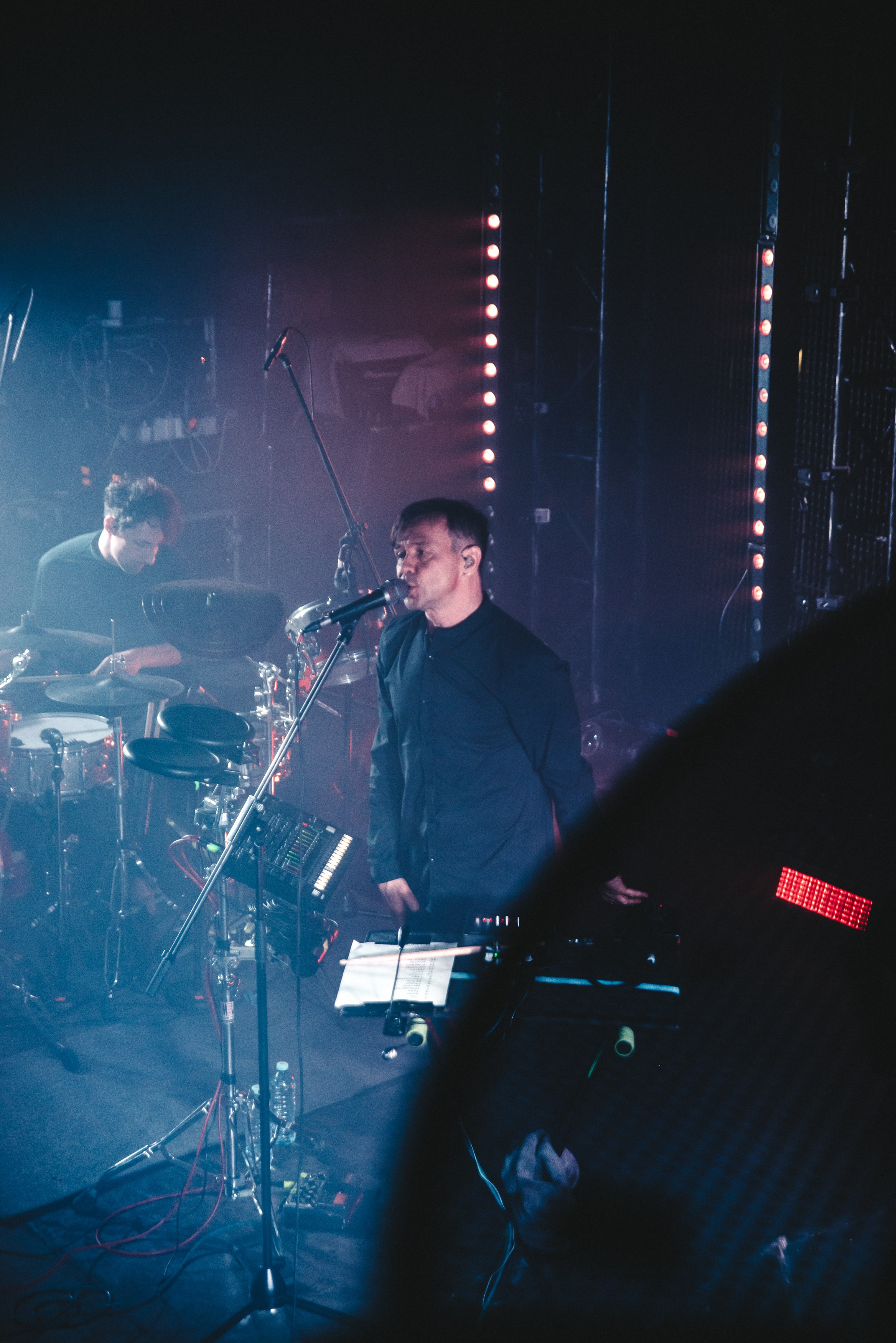 Дельфин | Gaudi. Контент фотограф Илья Урс