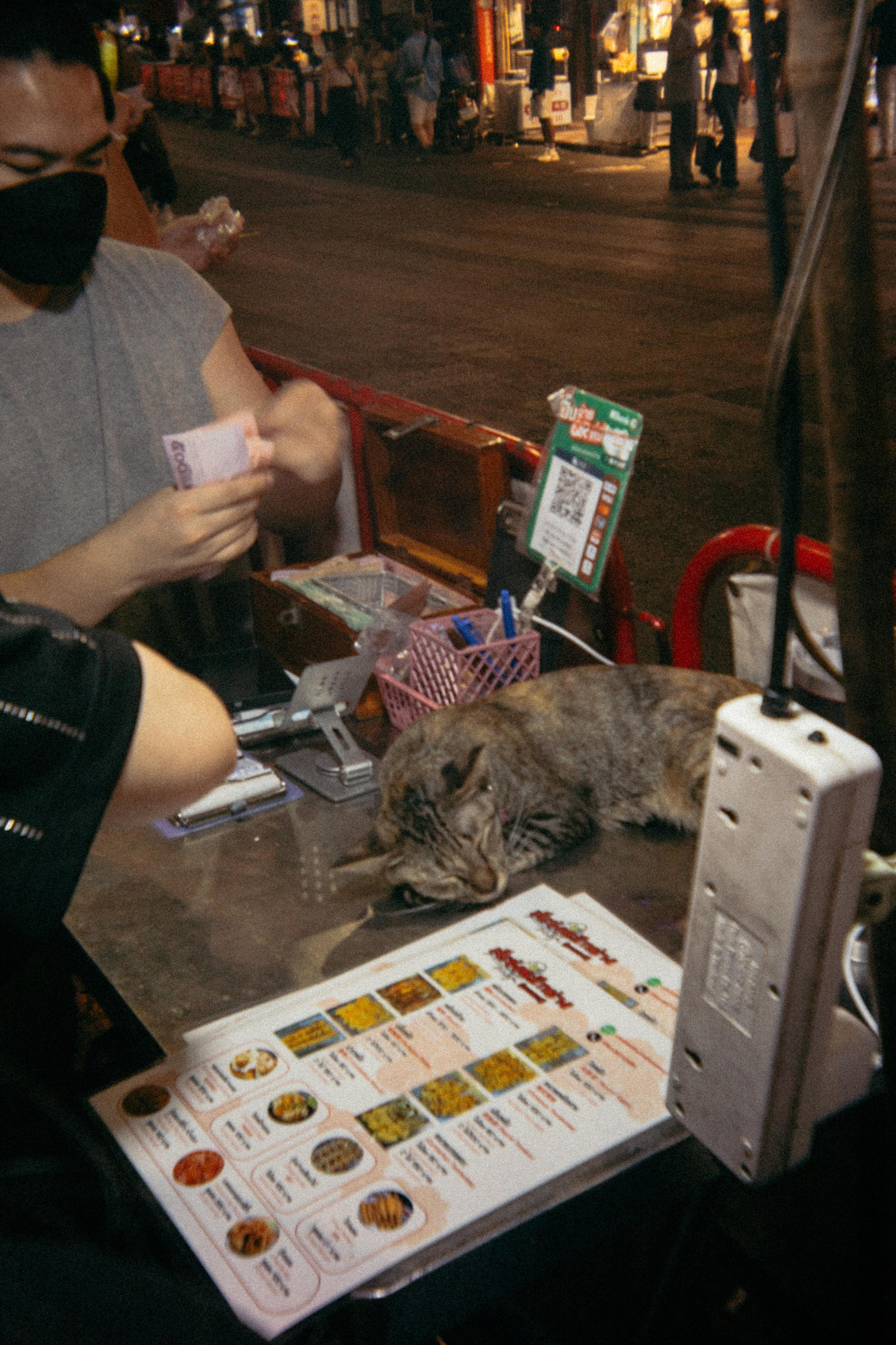 Шри + Бангкок. Фотограф Тбилиси Саша Мороз