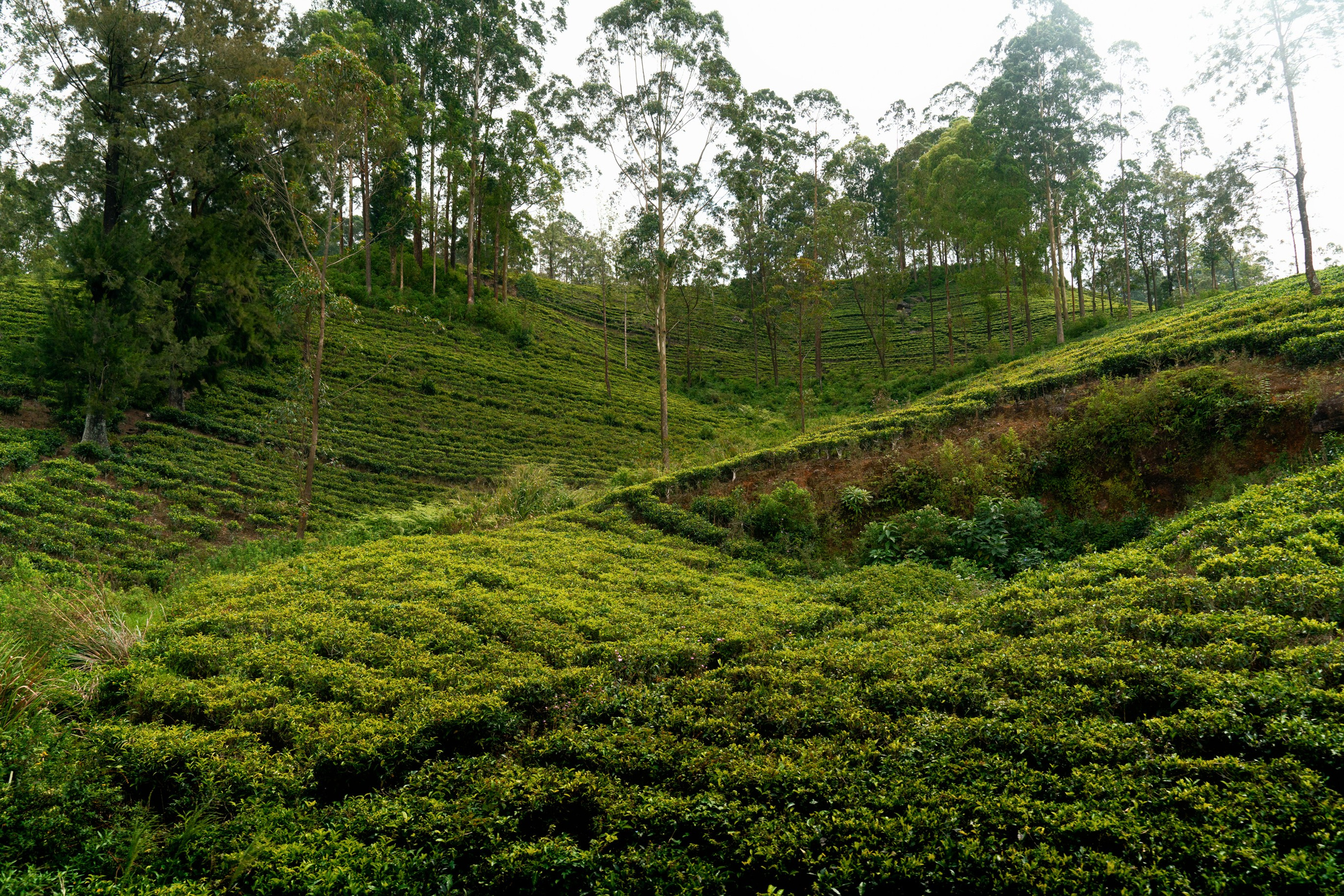 Ktokuda. Фотограф в Хабаровске. Фотография за 24 часа