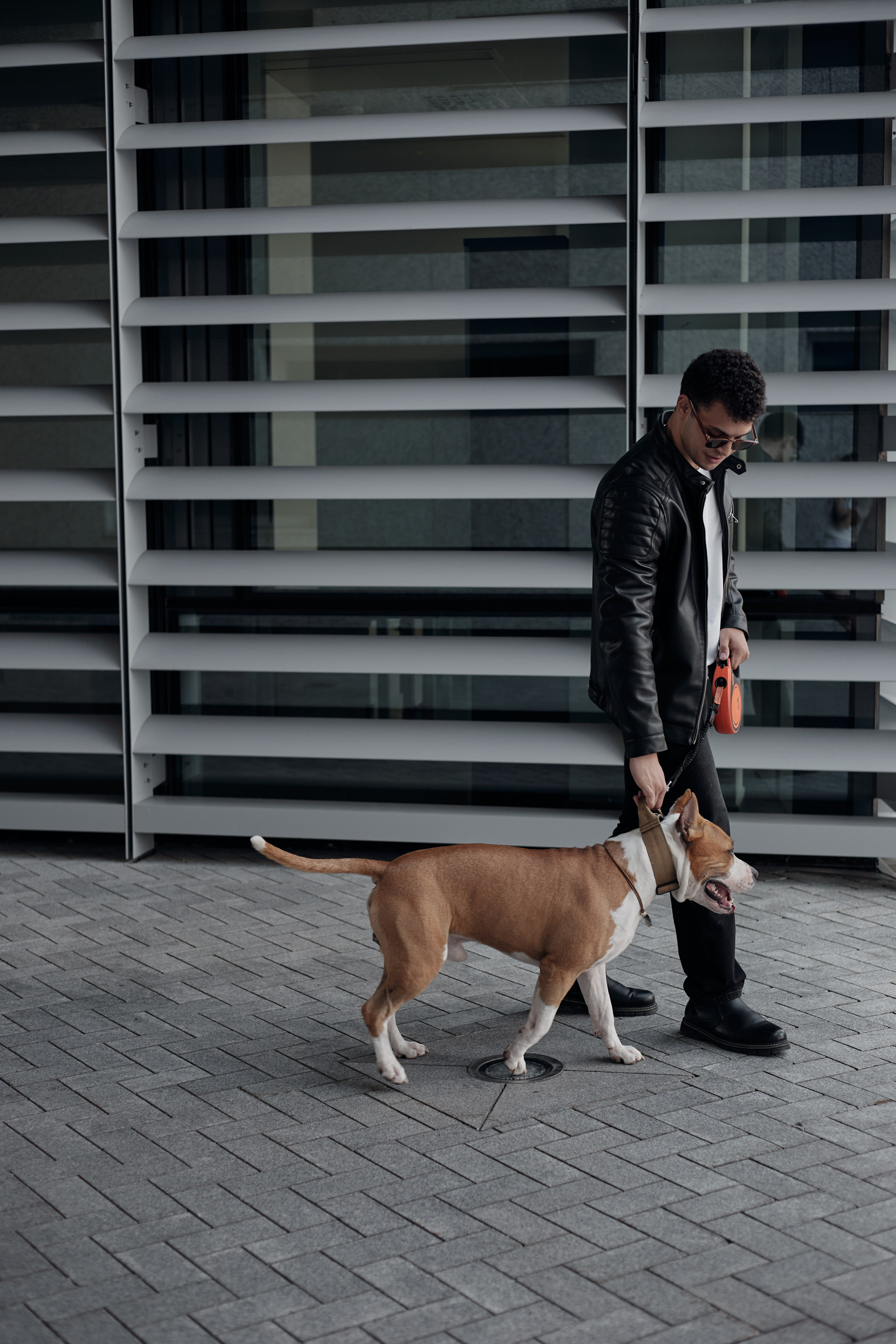 Абдо (прогулка с собакой). Фотограф из Казани