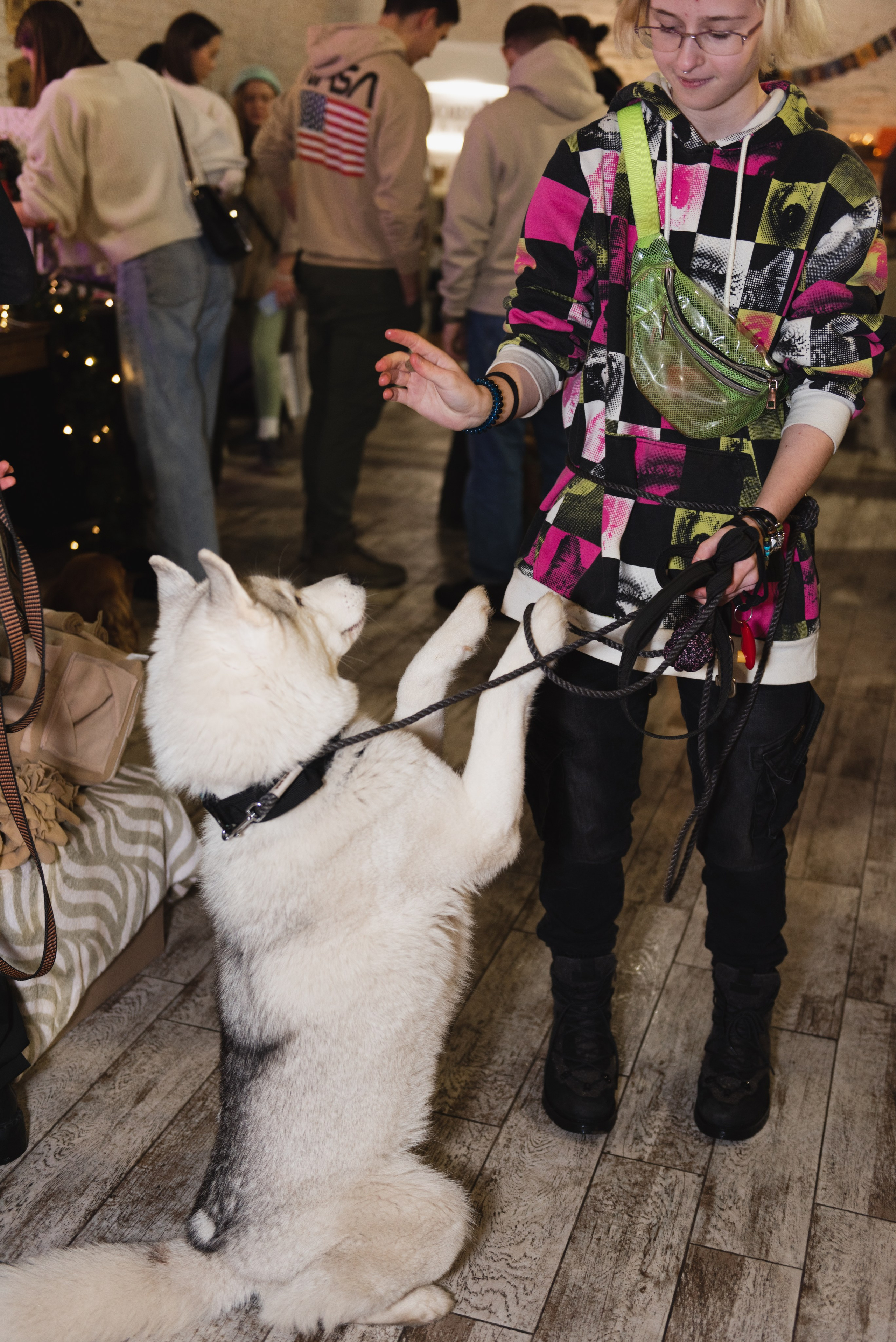 Pets. Фотограф в Москве Daria Lens