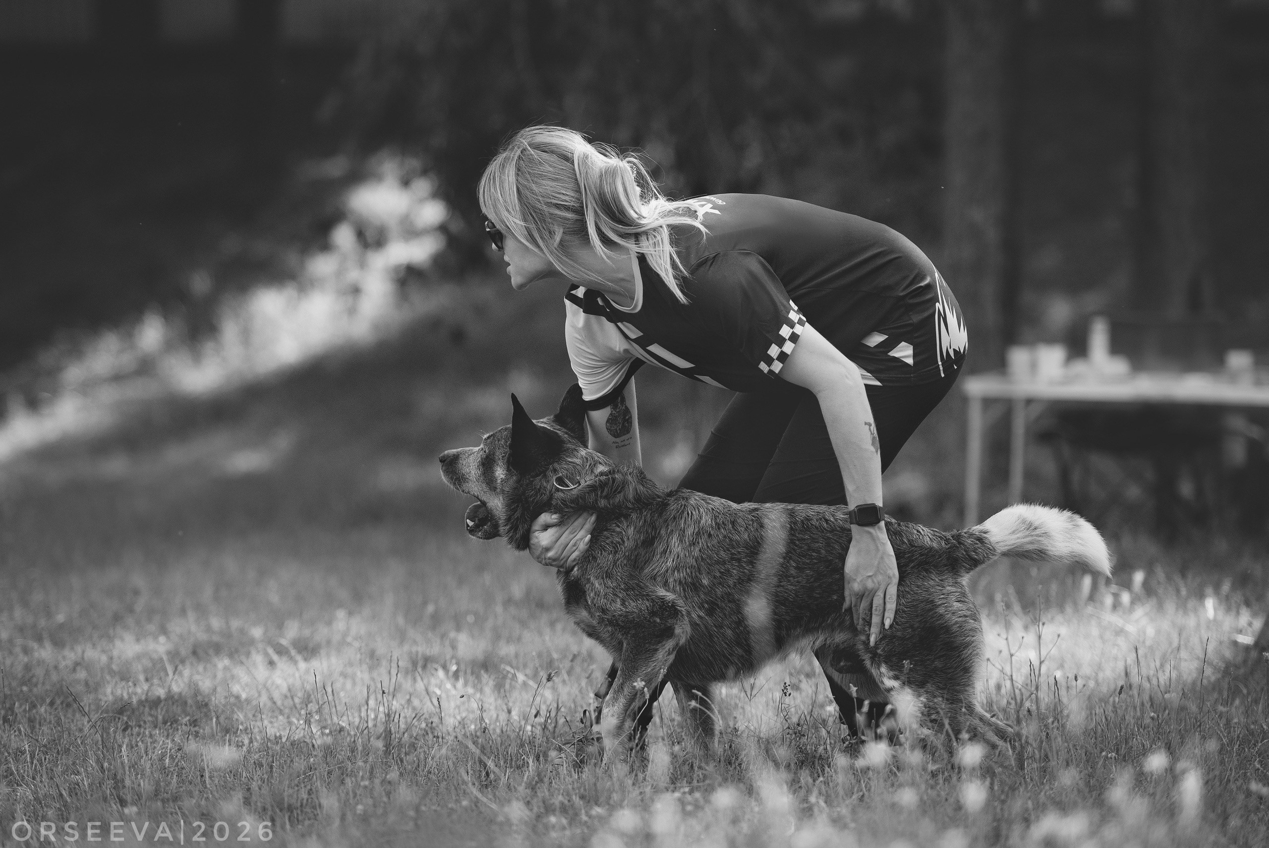 Съёмка тренинга. Фотограф-анималист Мария Орсеева, Краснодар