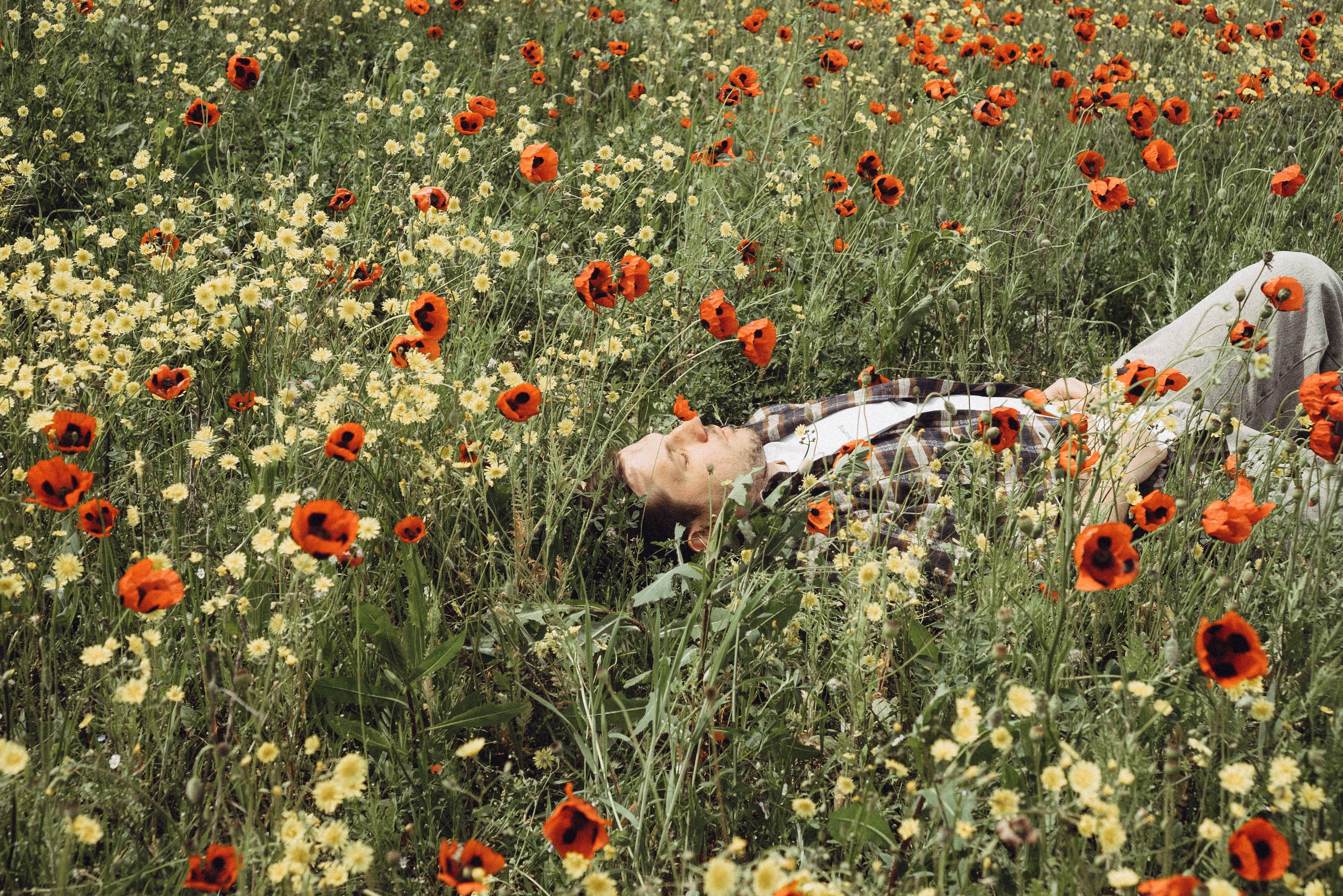 Маки. Профессиональный фотограф, Санкт-Петербург — Виктория Богомолова