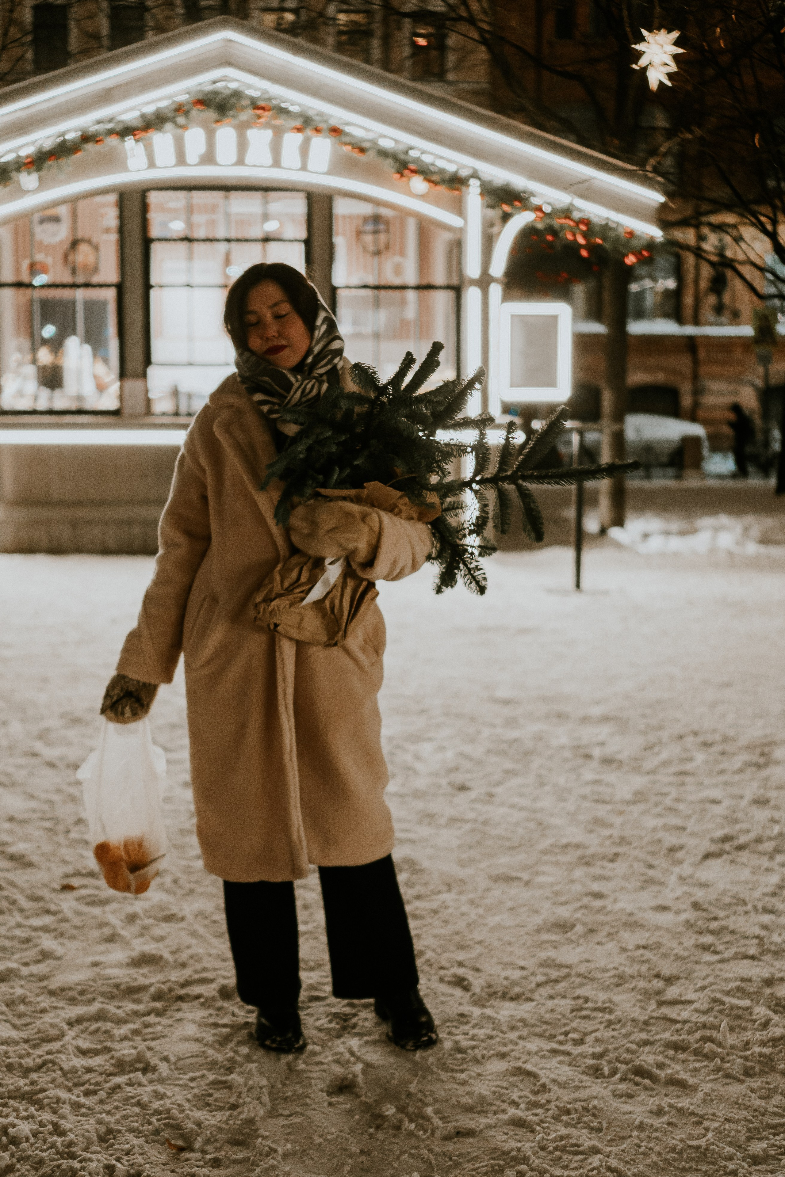 Зимняя сказка в Новой Голандии. Профессиональный фотограф, Санкт-Петербург — Виктория Богомолова