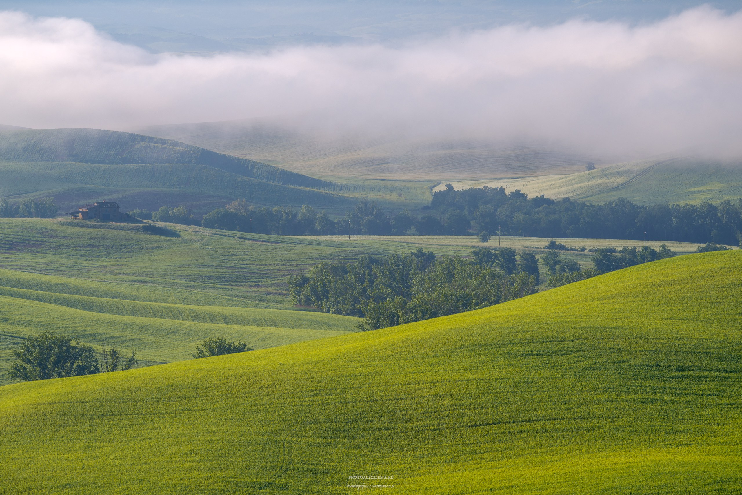 Волшебное утро в Тоскане. Авторские стильные фотокартины