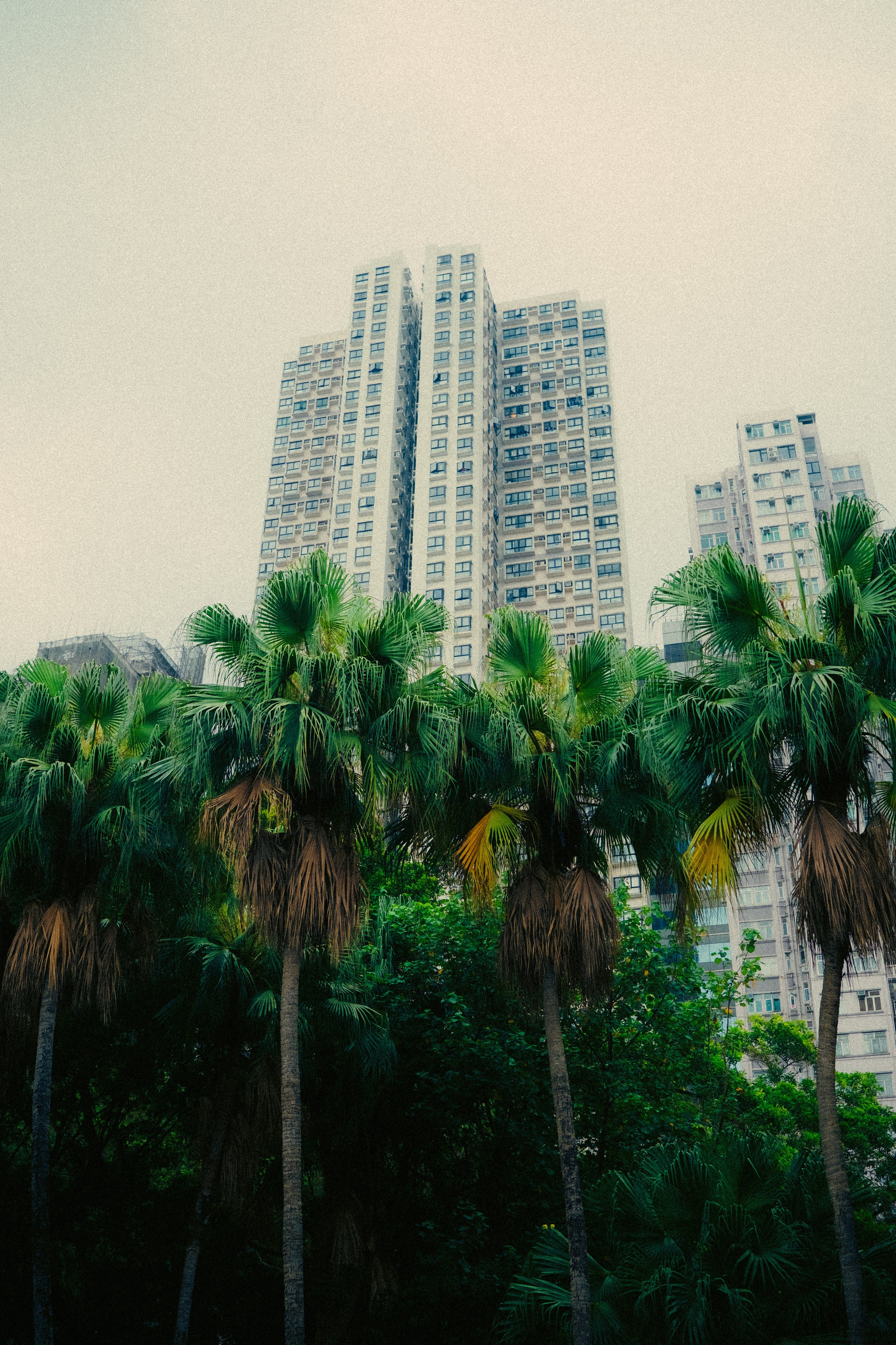HongKong. Богдан Голубков — фотограф (notbogdang)