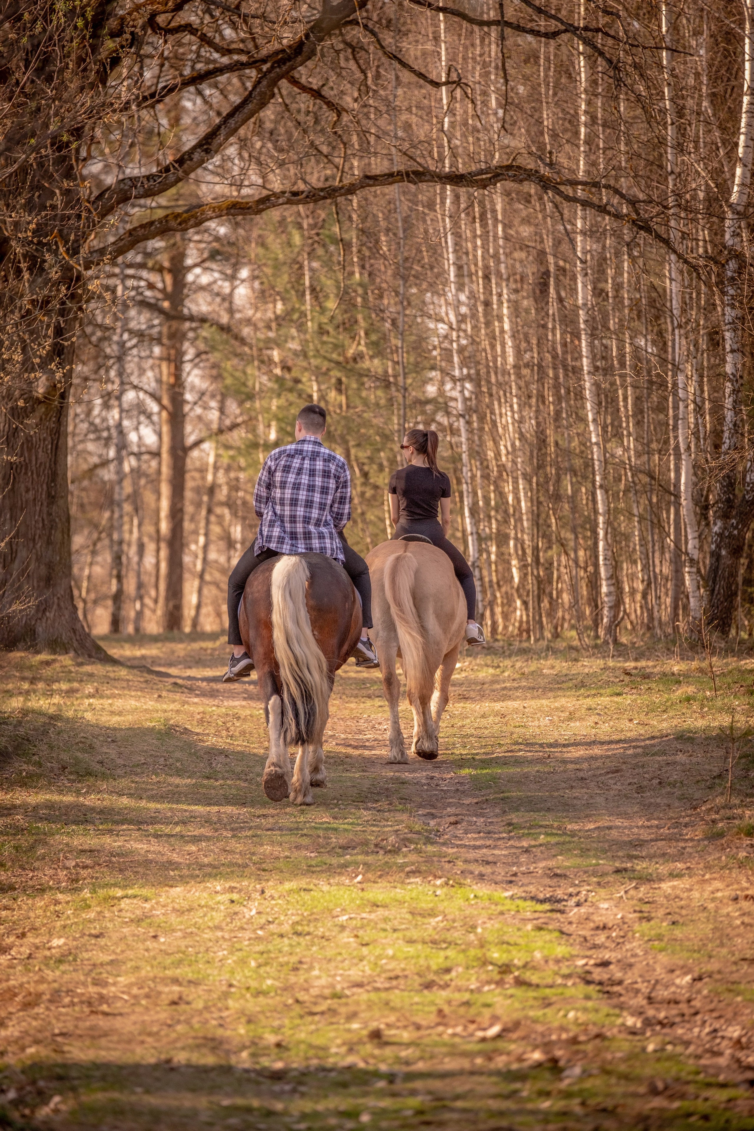 Он и Она. Зоофотограф, фотограф животных в Москве и области Дина Дамоцева