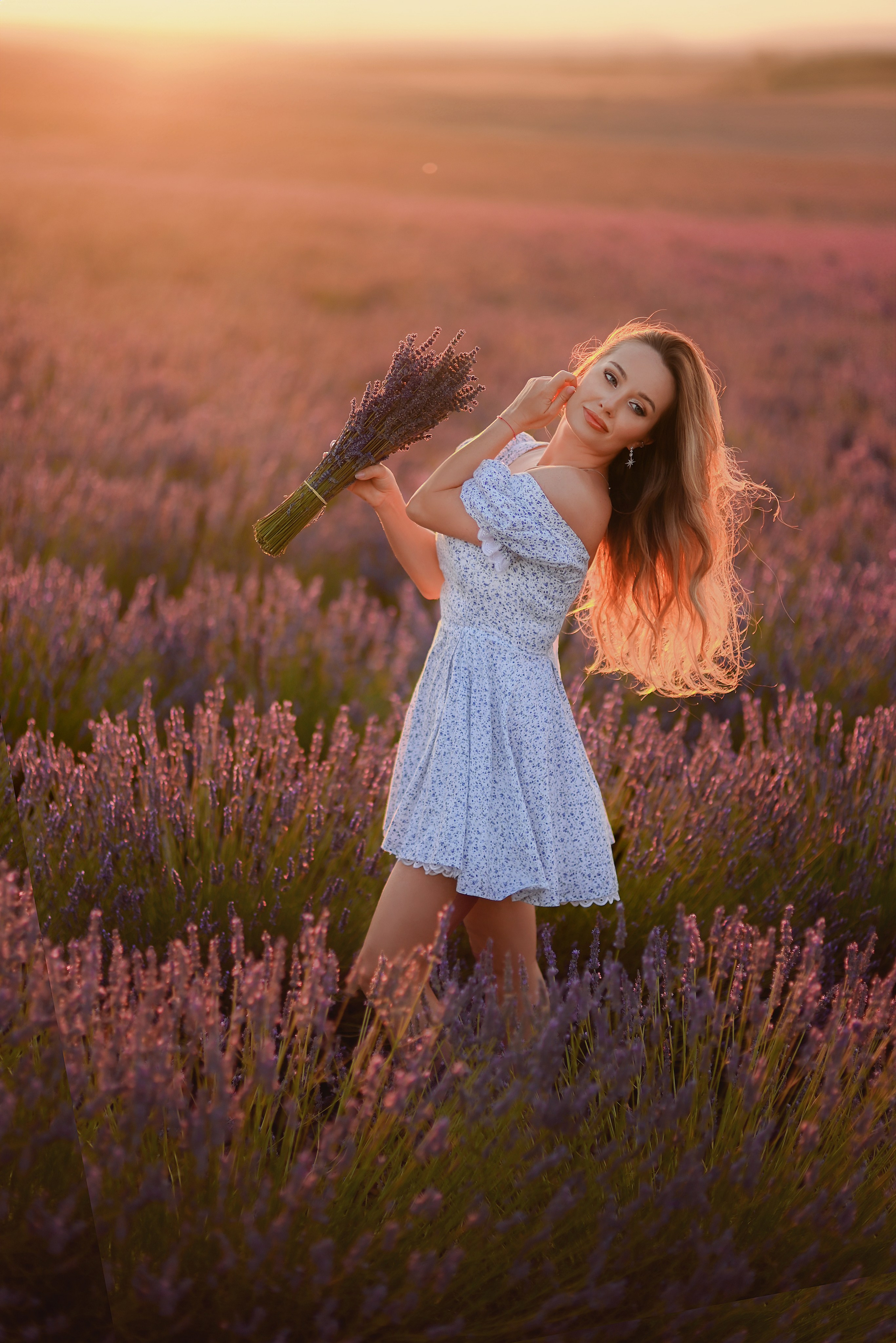 Lavender. Photographer in Provence Julia Lipiainen
