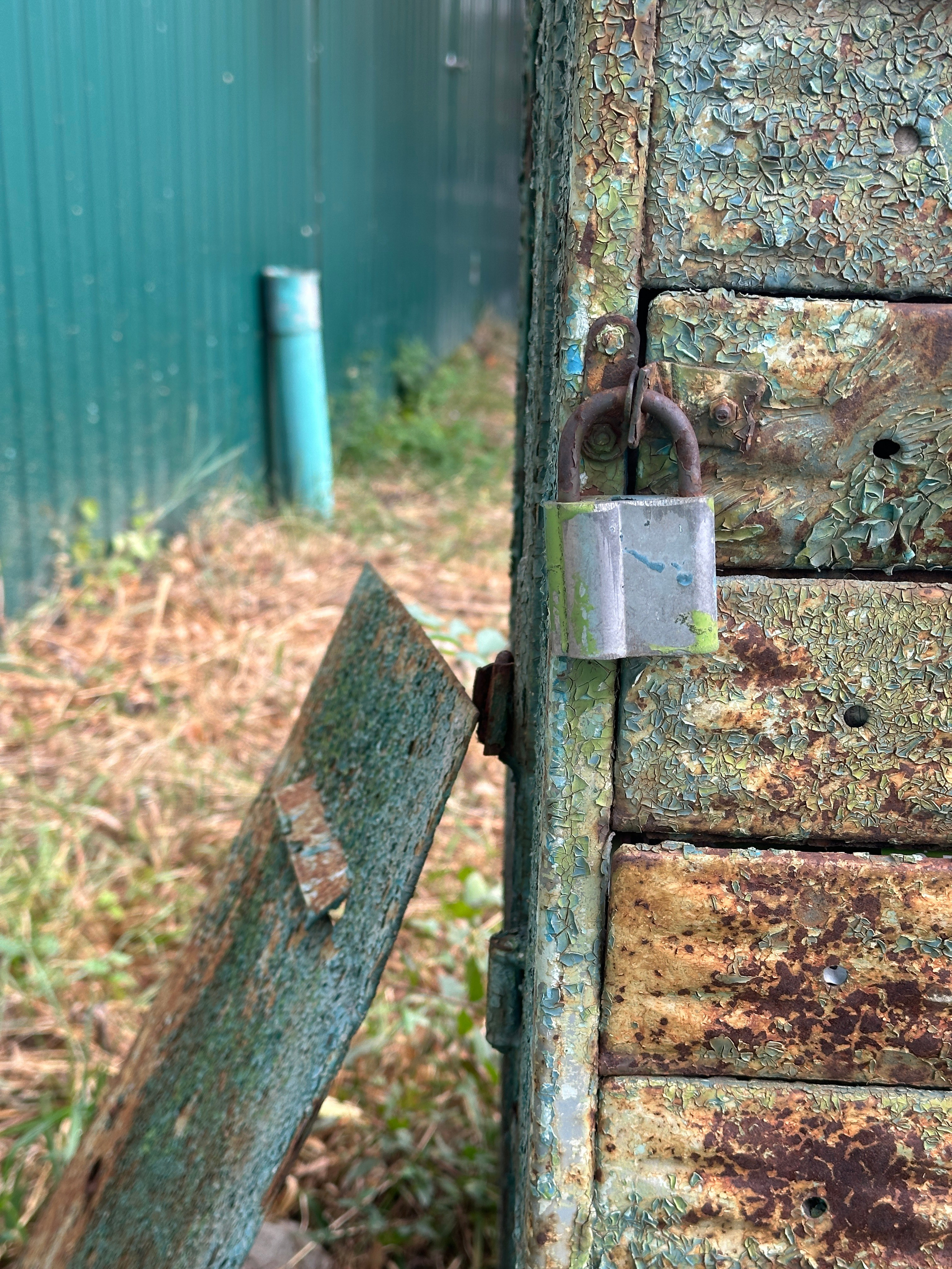 Улица Таранченко. «ФотоСинтез»