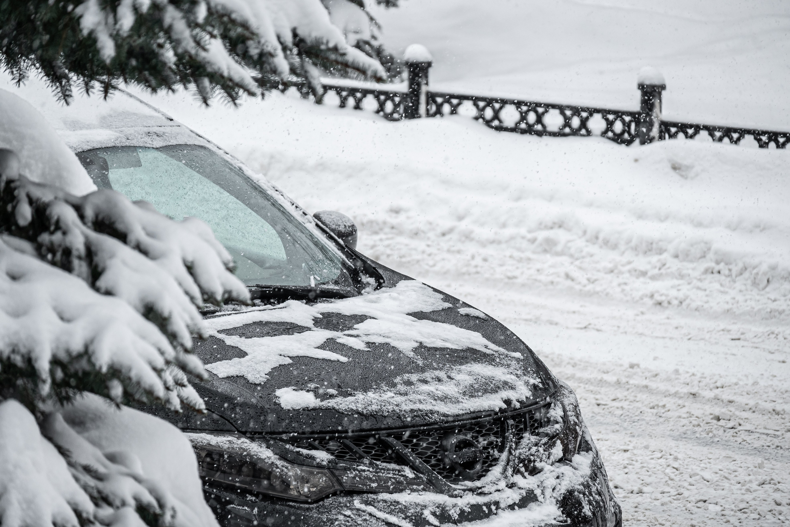 Снегопад. Репортажный фотограф