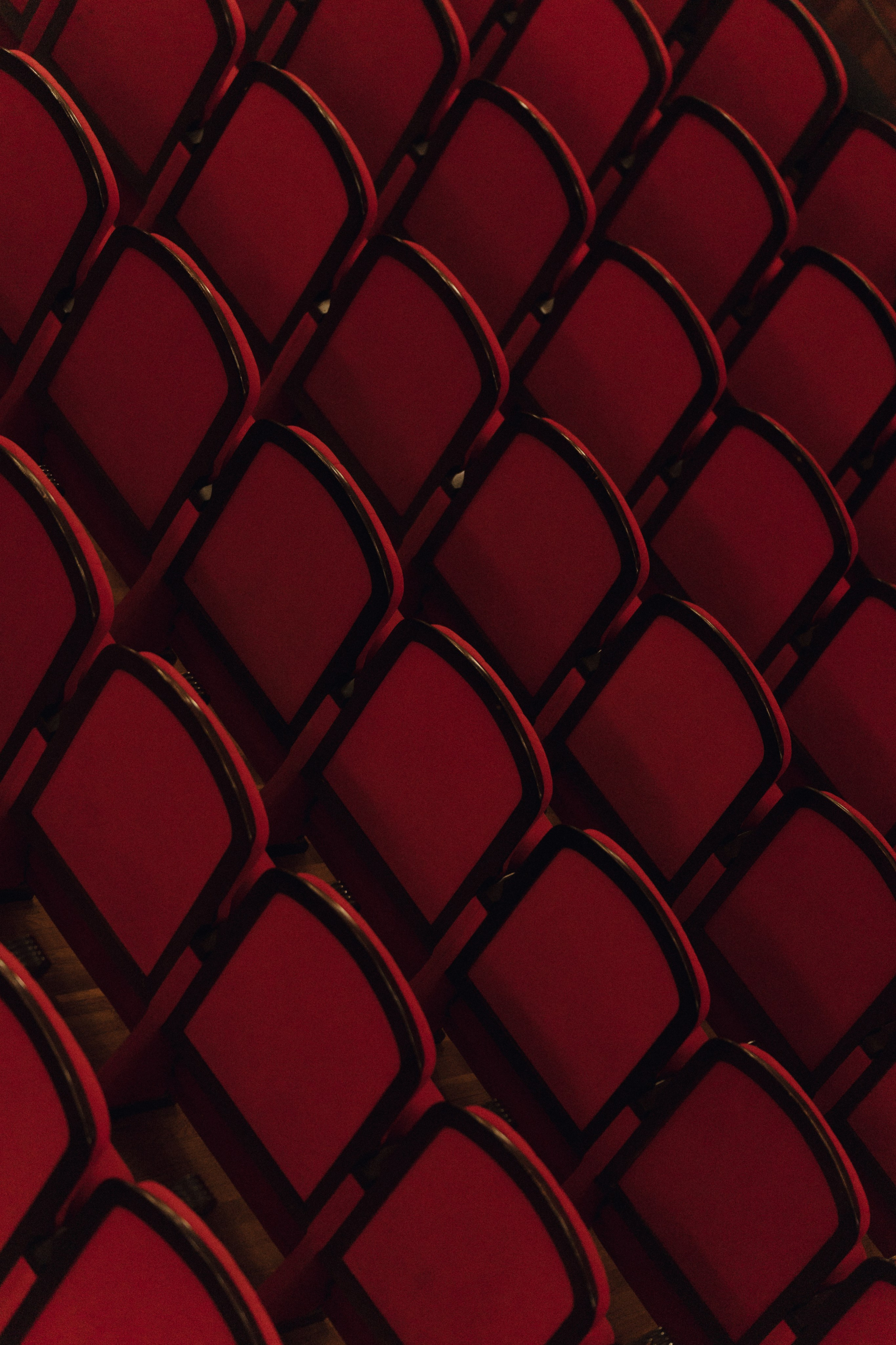 Rock Evolution 03.04.24. Свадебный фотограф в Краснодаре и Сочи Винидиктова Екатерина