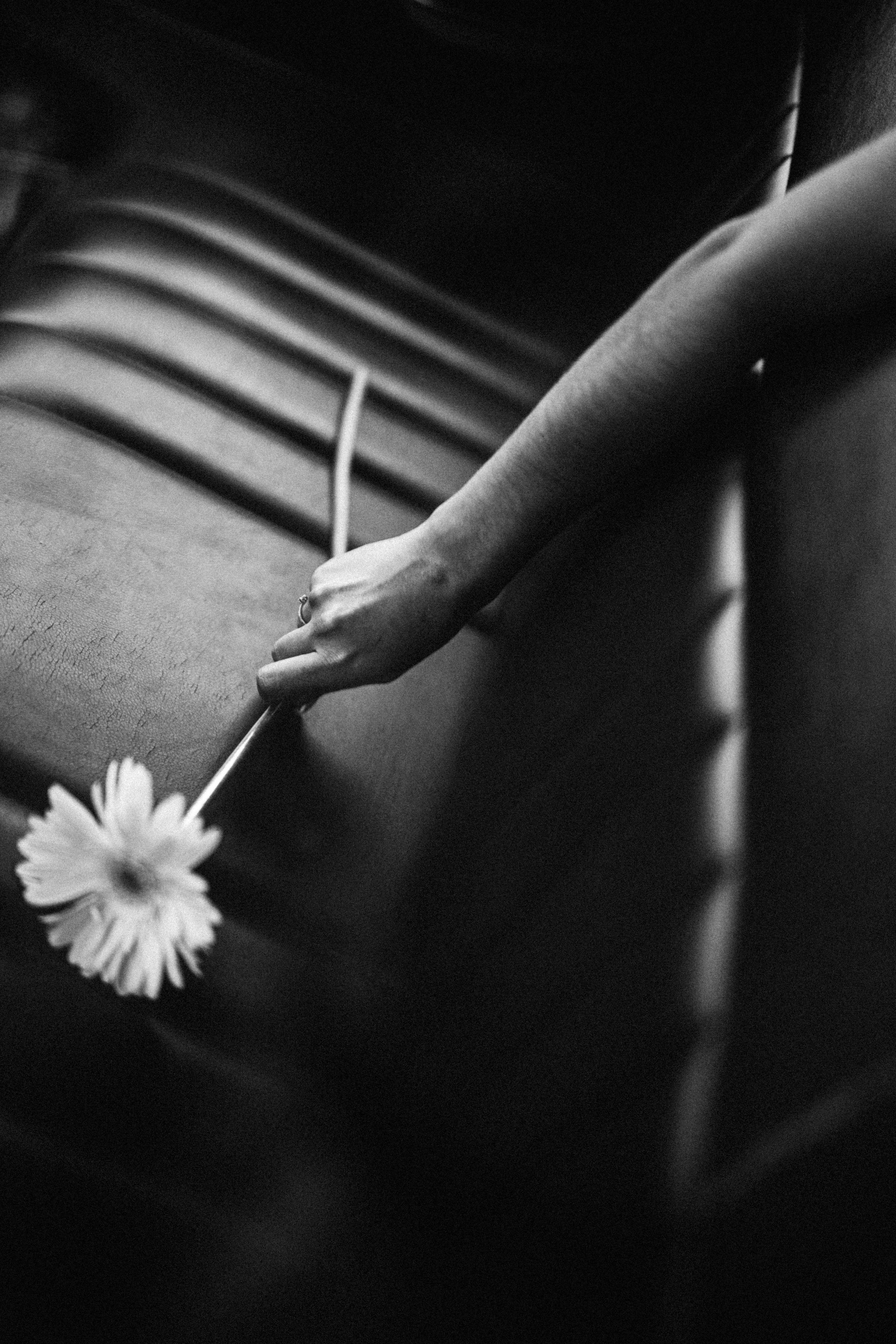 Ваня и Тоня. Daria Chigintseva Photographer