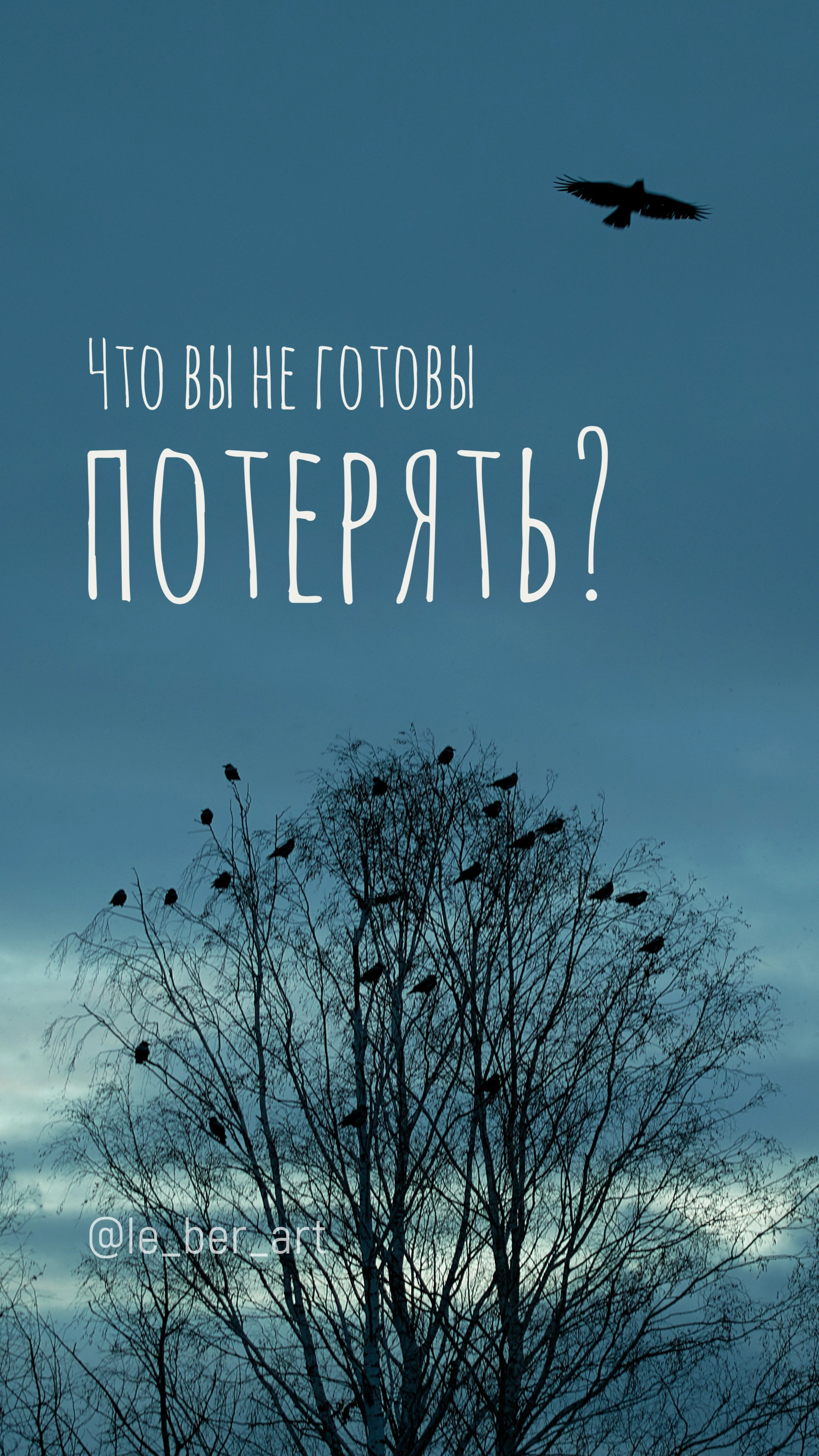 Заставки на телефон. Елена Берсенева, фотограф