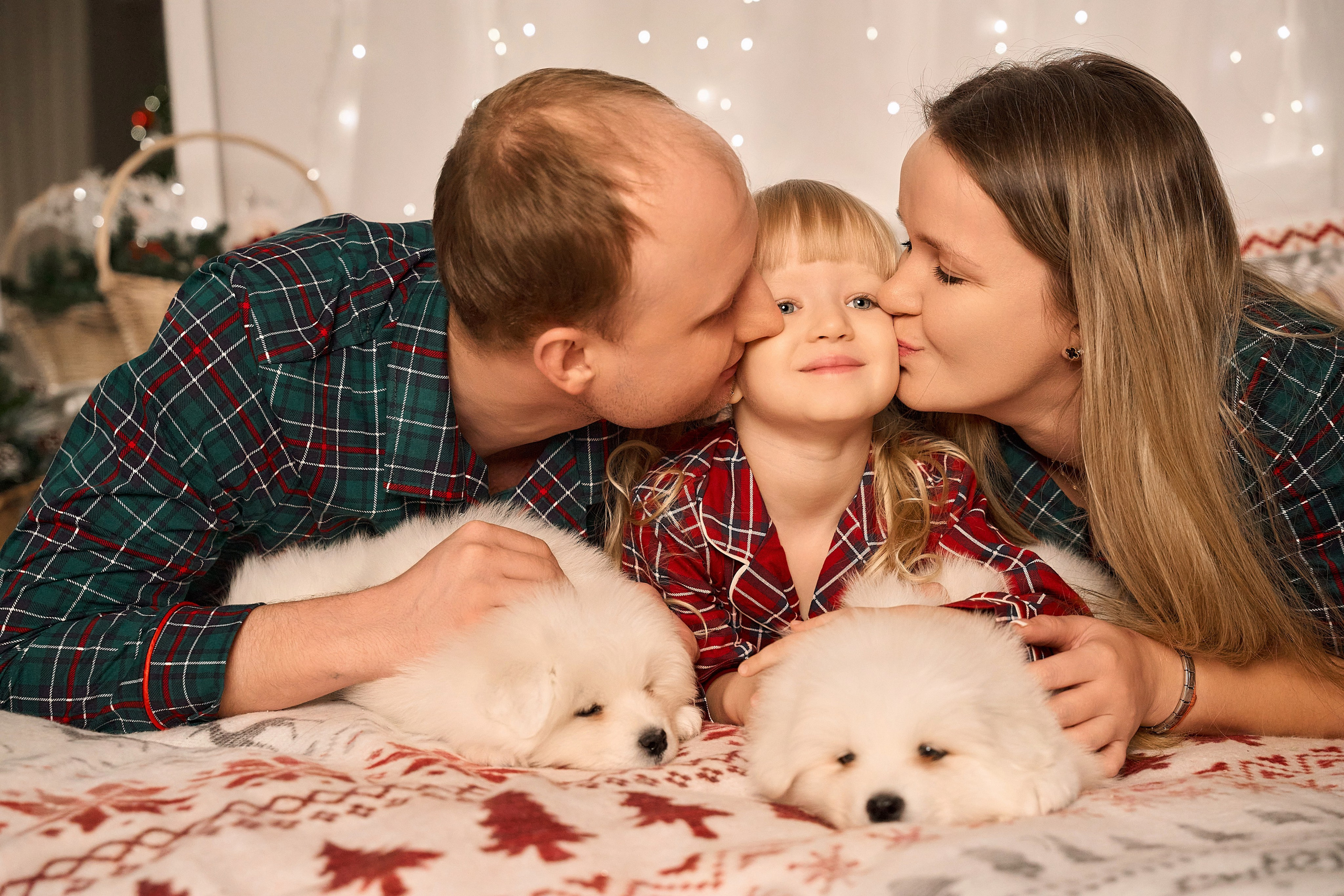 Новый год с щеночками. Свадебный и семейный фотограф в Красноярске Надежда Арефьева