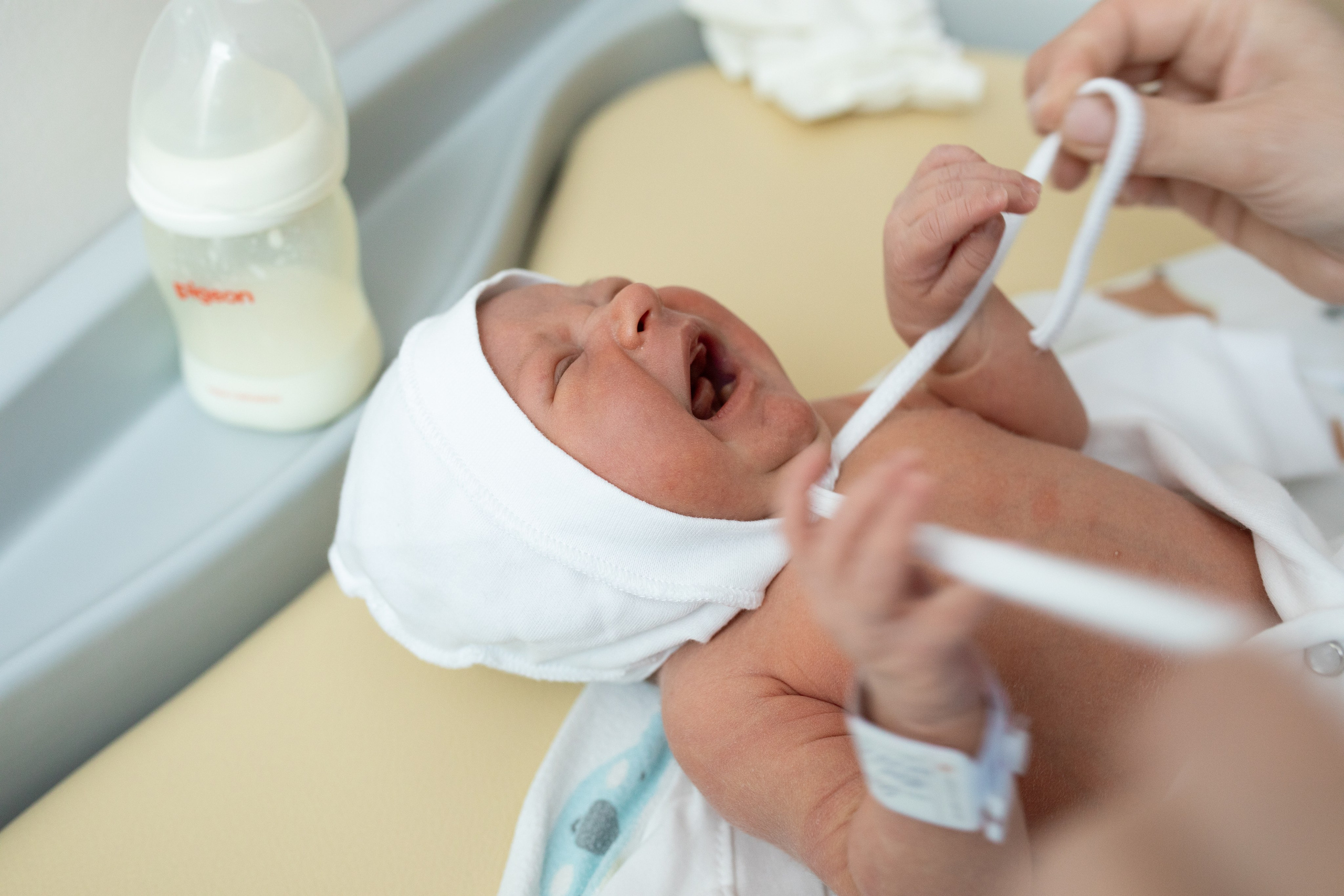 Авиценна. Фотограф в Новосибирске Ася Зверева