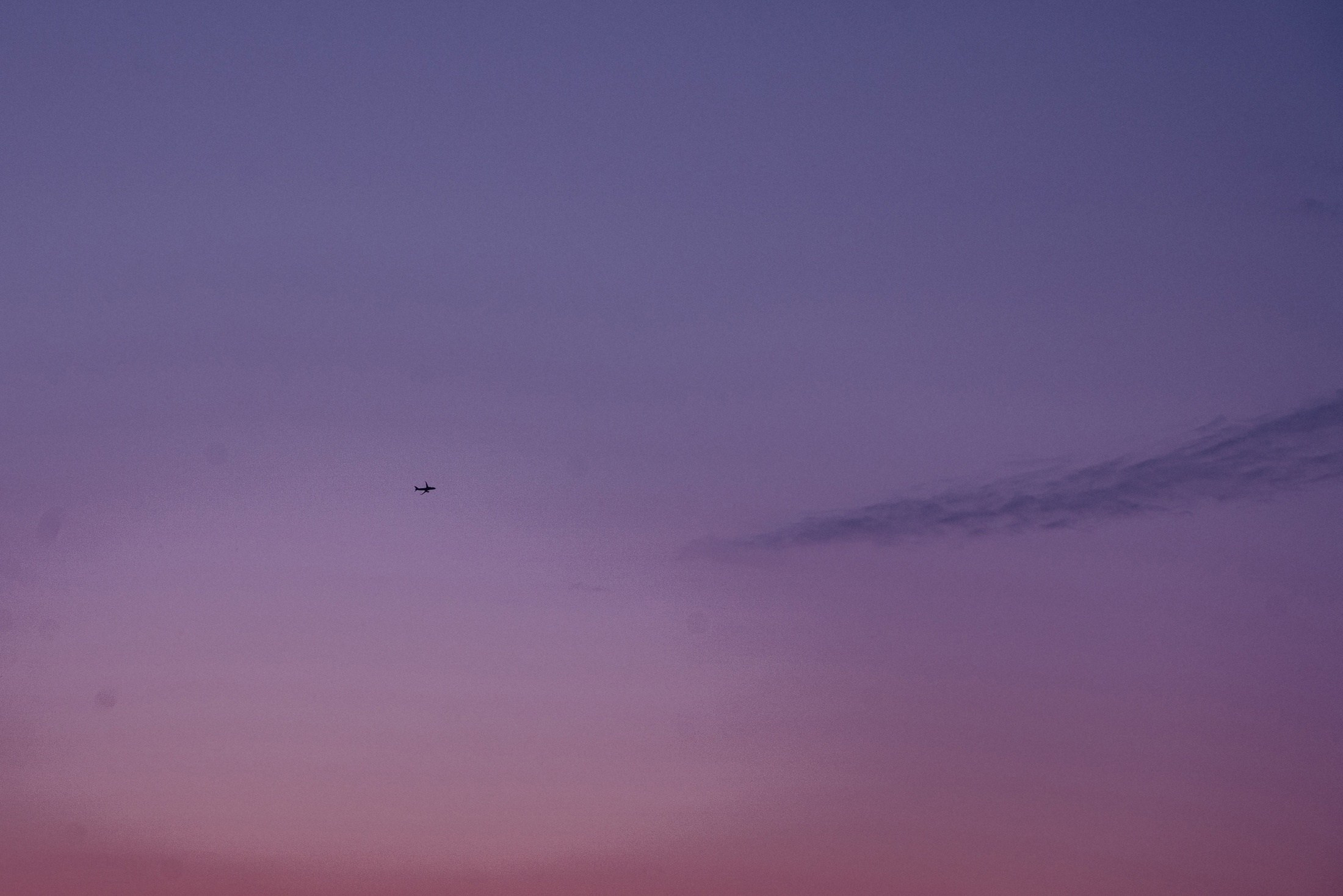 Кристина+Дима. Свадебный и репортажный фотограф Александр Родин