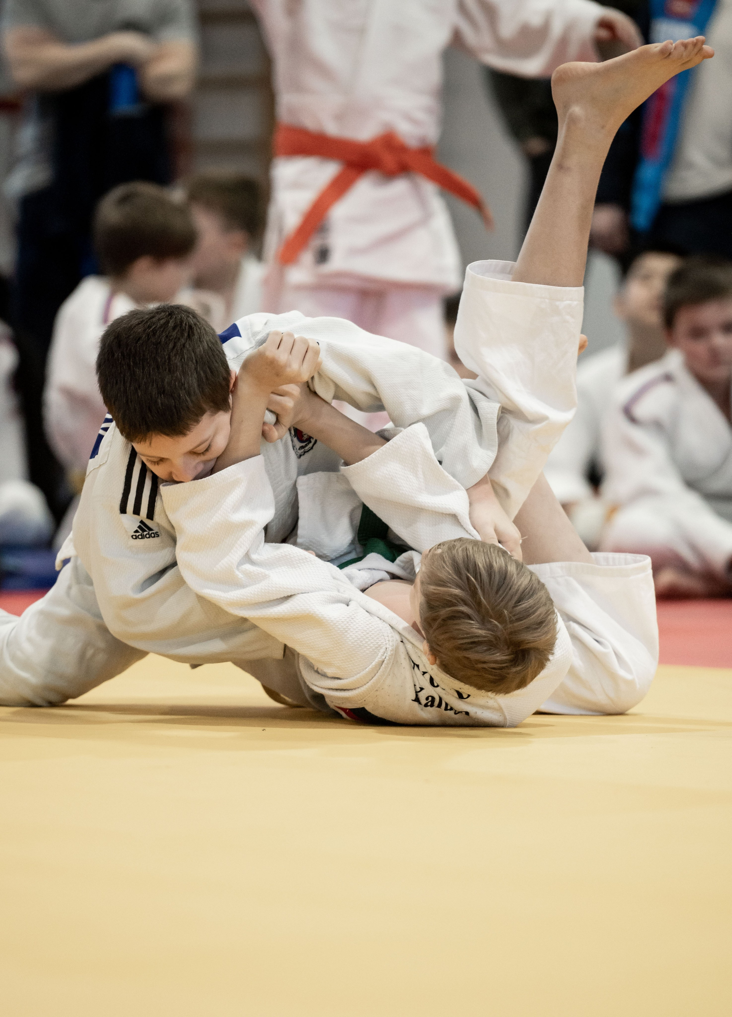 Турнир по дзюдо, ск «Тульский Левша» январь 2024. Спортивный фотограф в Туле и Тульской области. Файсханова Фото Спорт