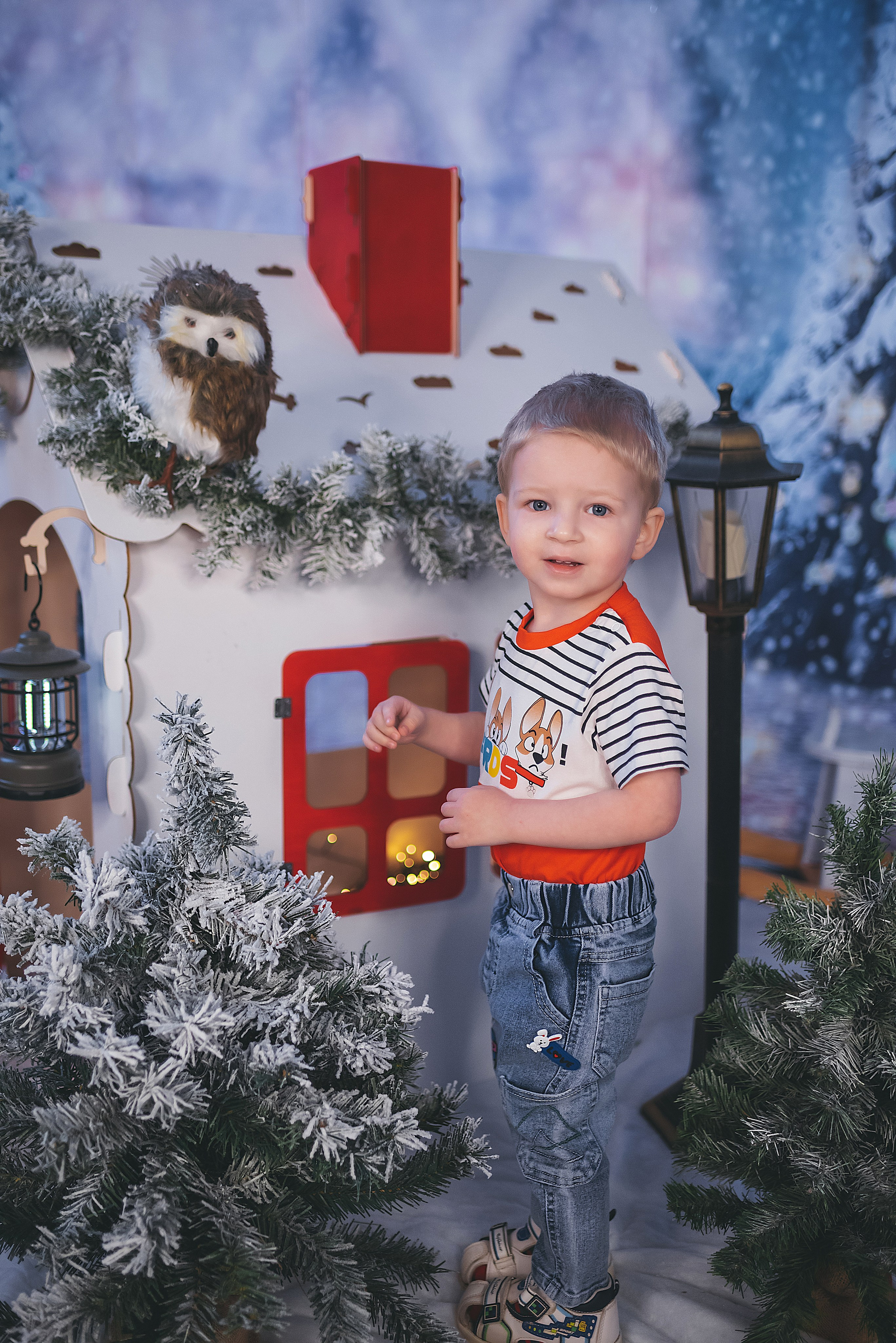 Проект «Новогодний домик». Семейный и детский фотограф в Тейково