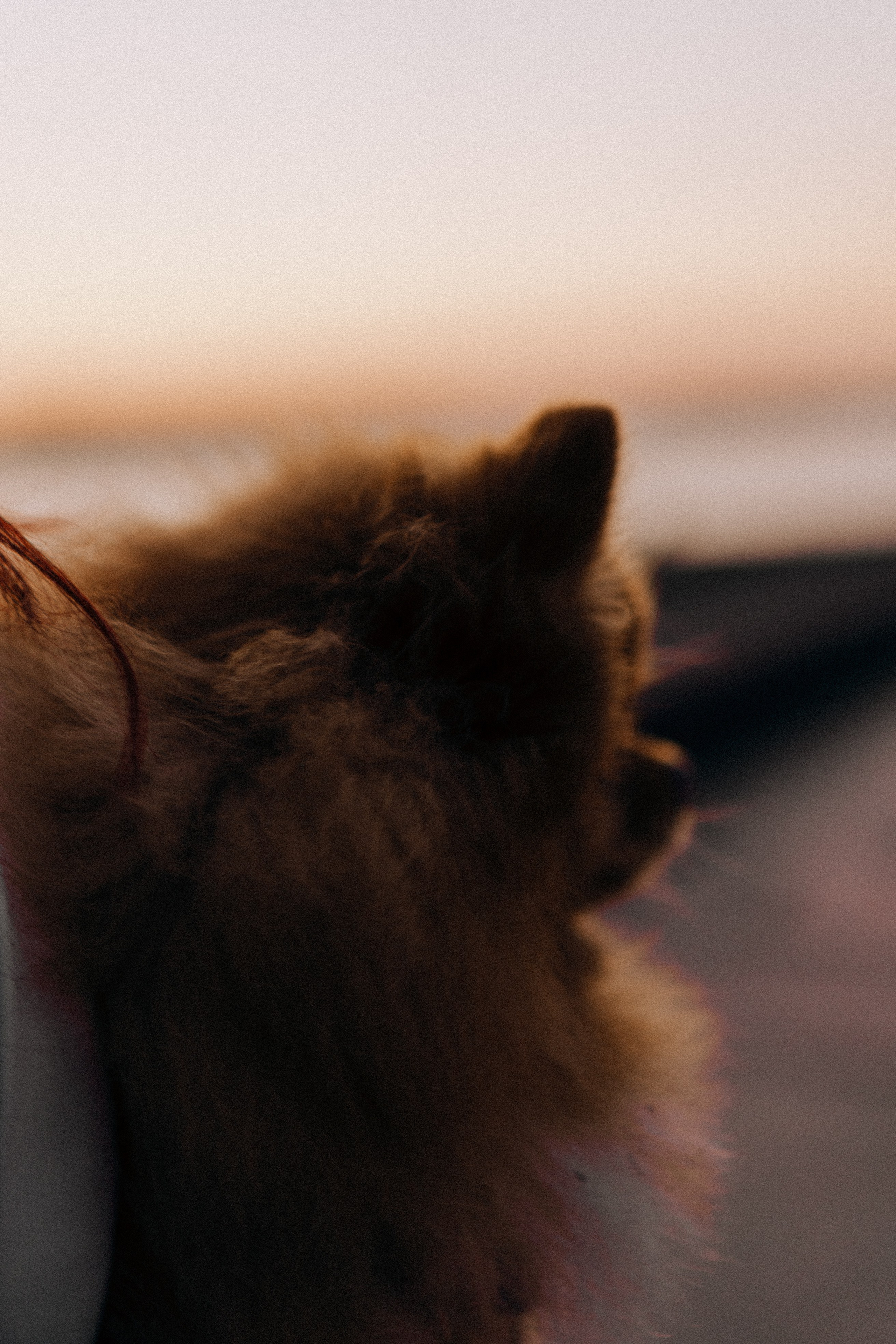 РАССВЕТНАЯ ИСТОРИЯ. Профессиональный фотограф, Санкт-Петербург — Виктория Богомолова