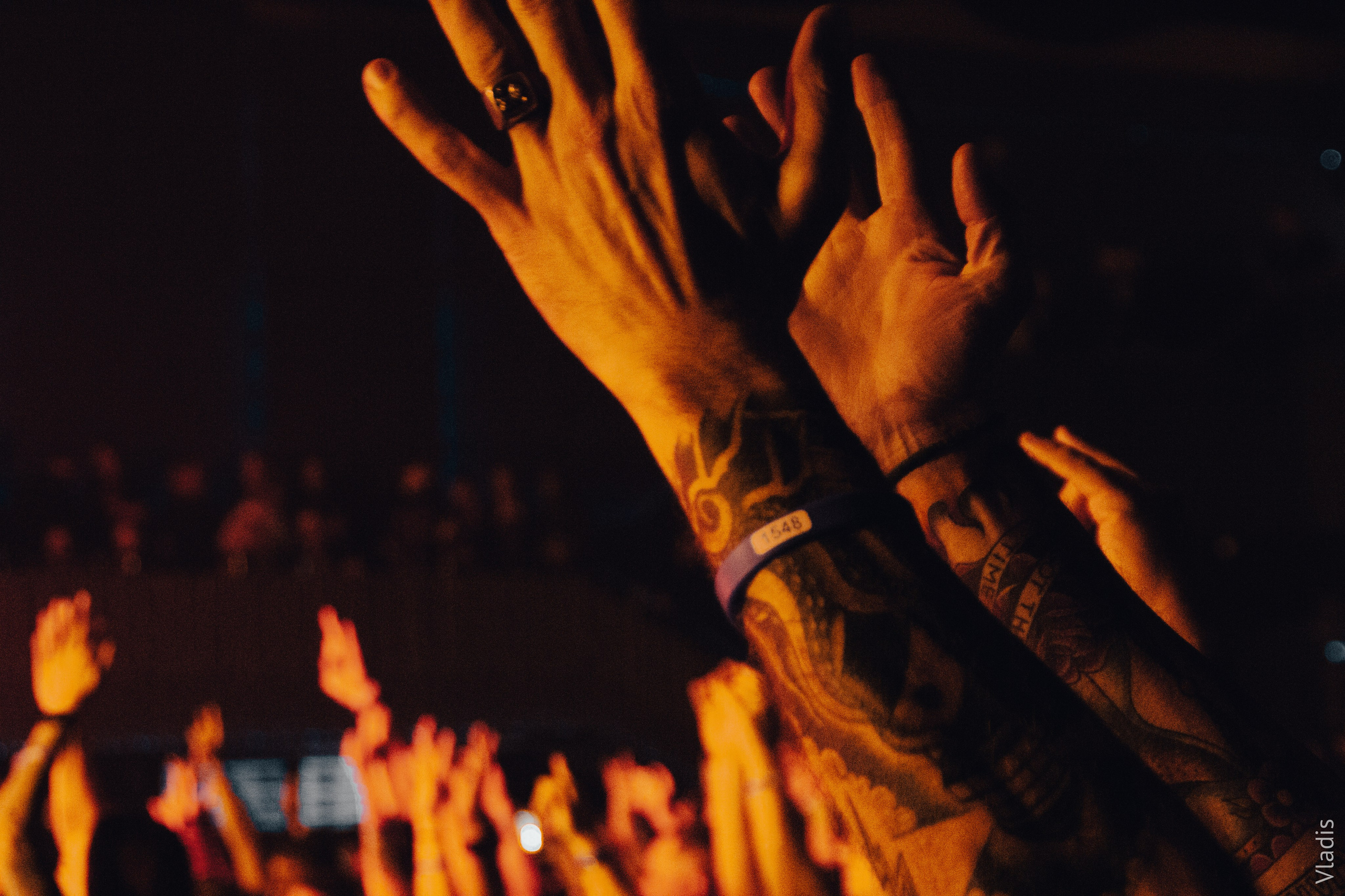 ##### BASE NEW YEAR FEST 2026 | Петербург. VLADIS PISKUNOV | Концертные Фото |Репортажи