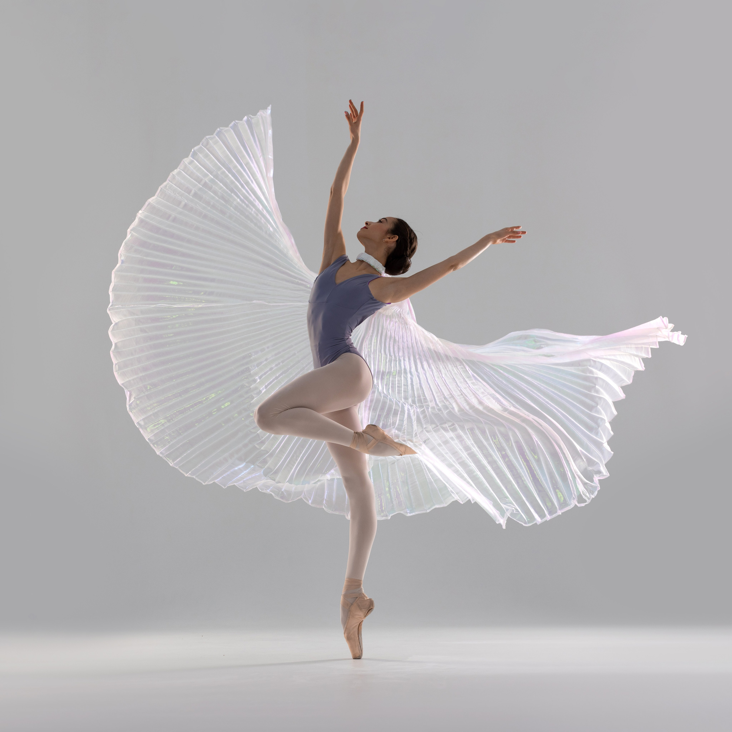 Крылья перламутровые напрокат бесплатно. Балетный фотограф Алина Ханько — Душа Балета