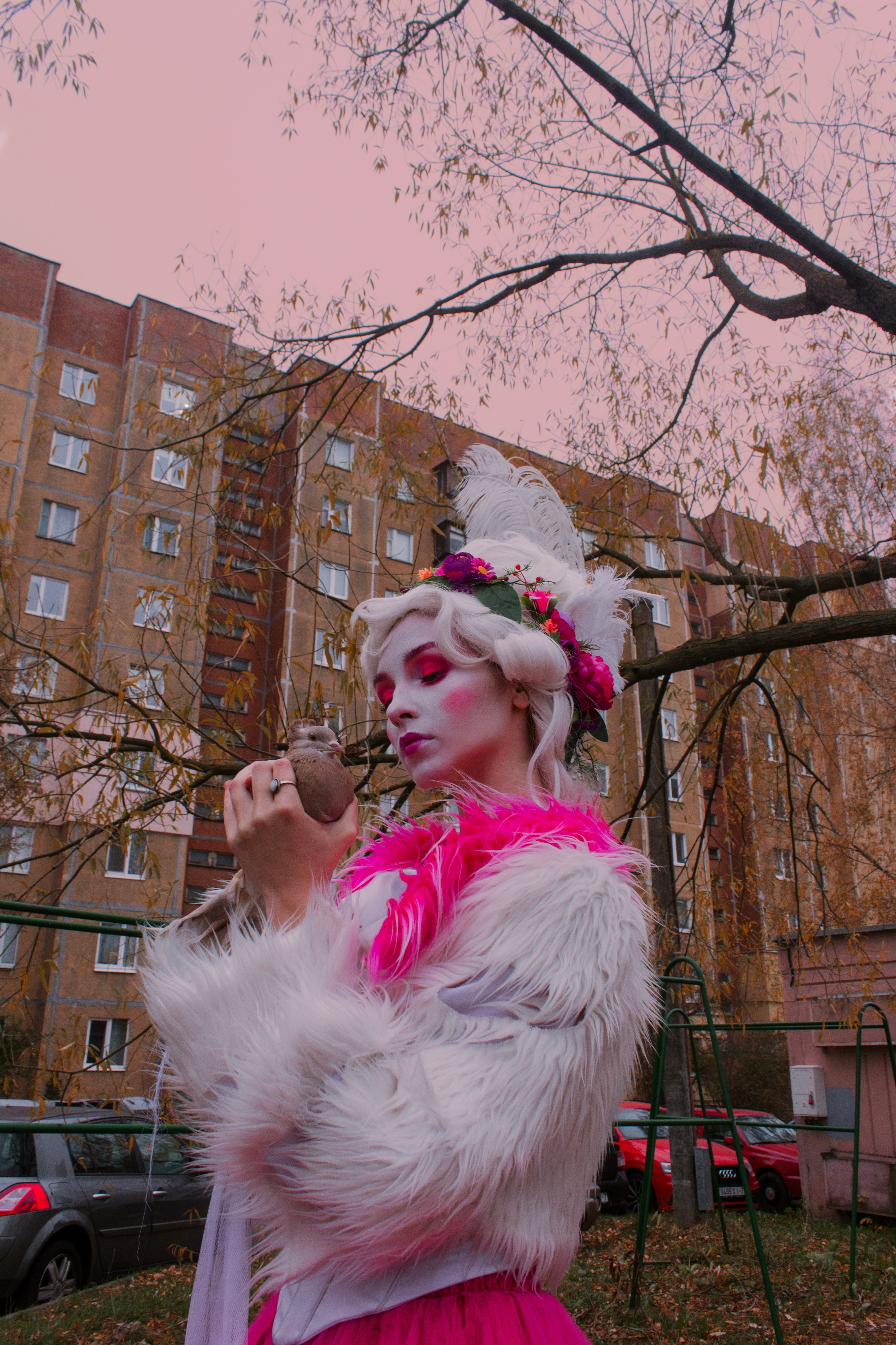 Дама, а вы к нам откуда?