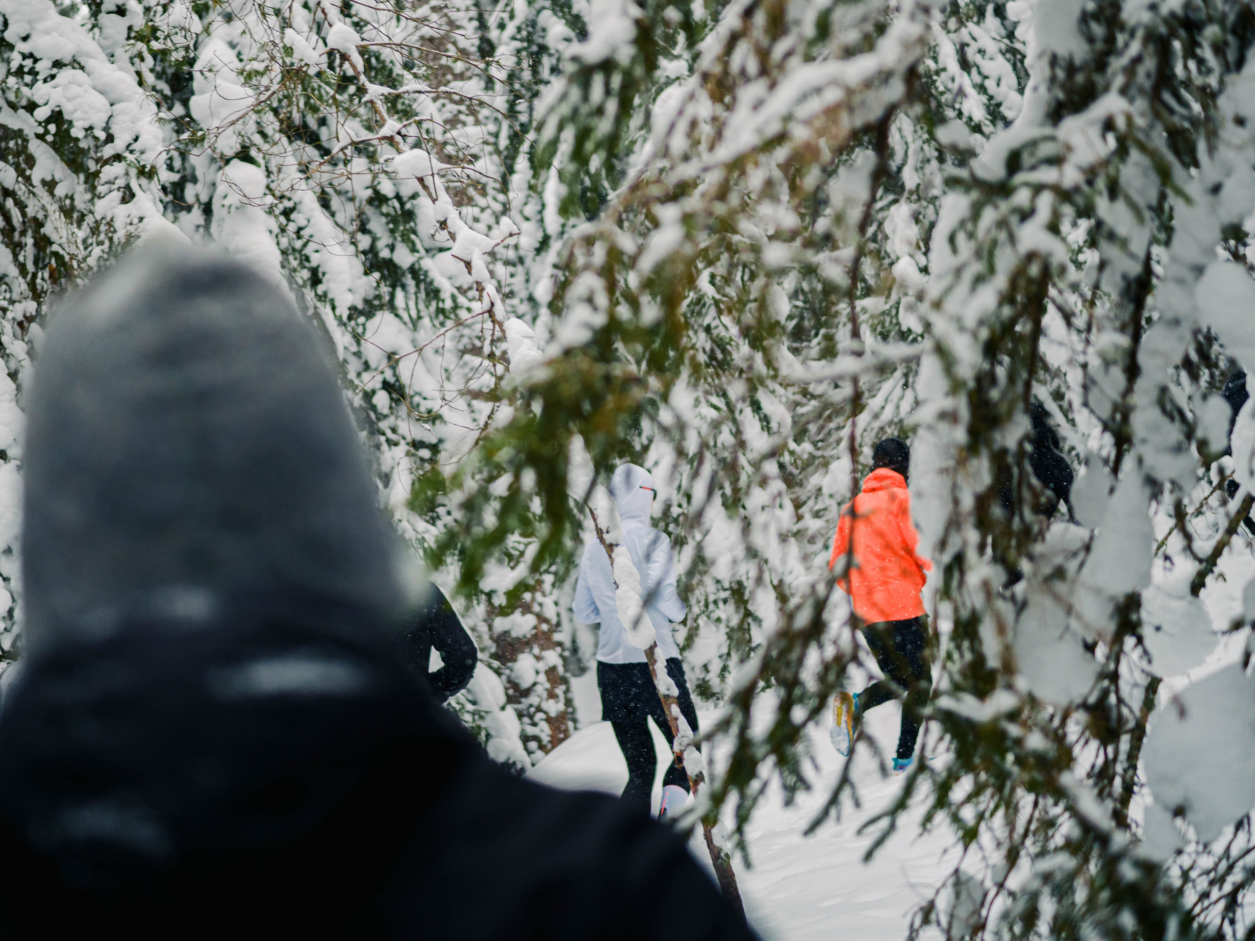 Skuratov Trail Run. Портретный и репортажный фотограф в Санкт-Петербурге Смоляков Максим