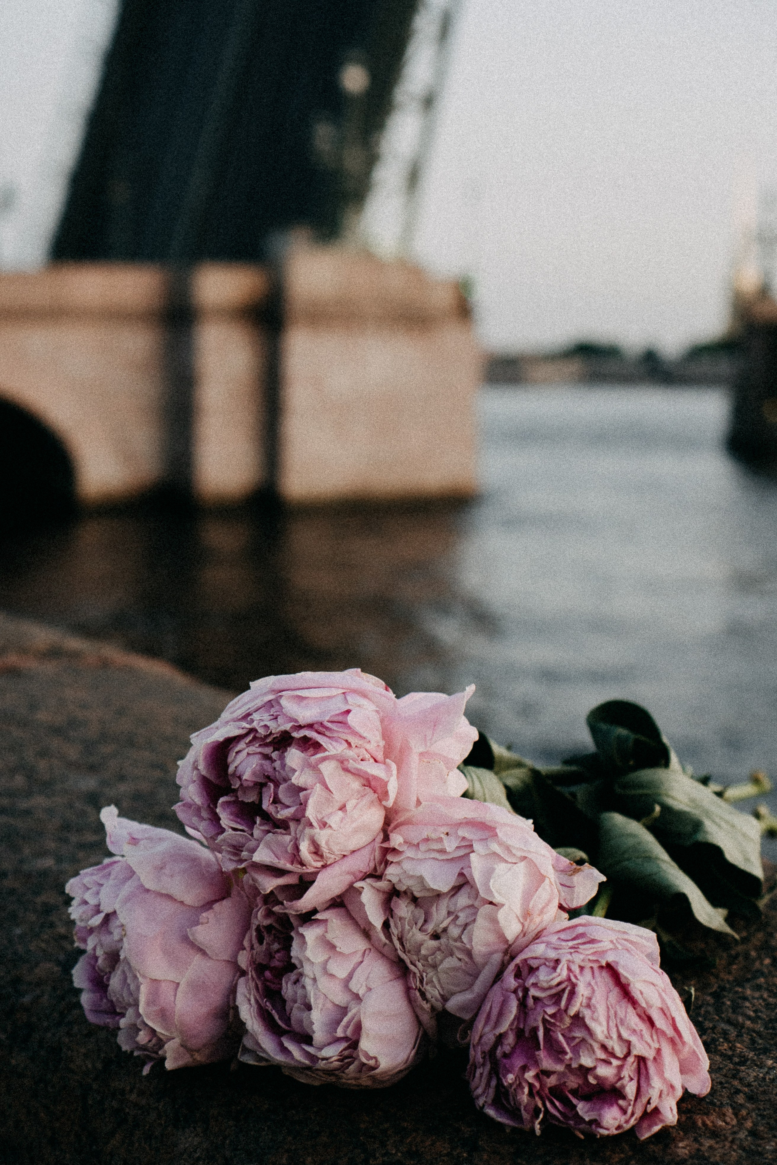 Сьемка мечты. Профессиональный фотограф, Санкт-Петербург — Виктория Богомолова