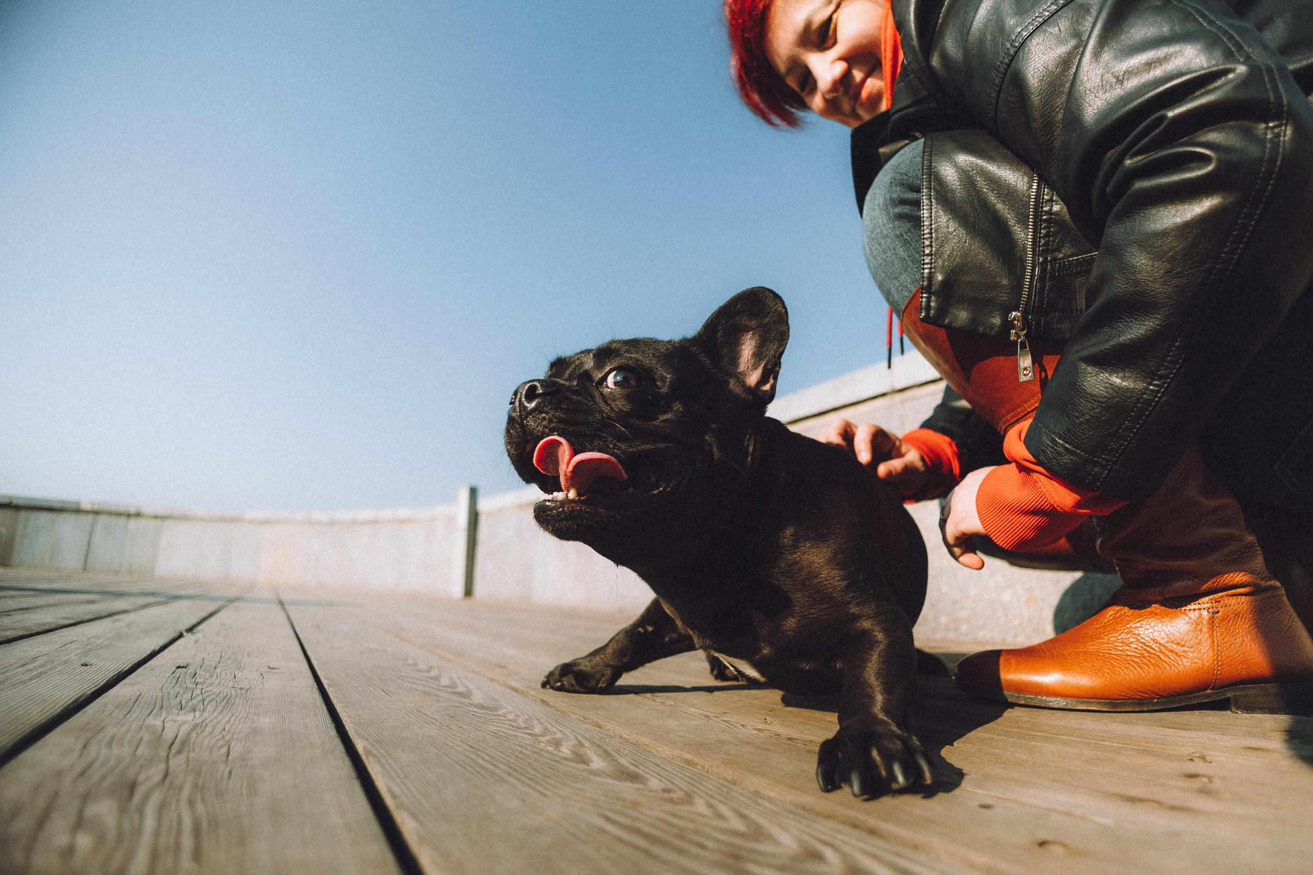 Саша, Дима и Шпуля