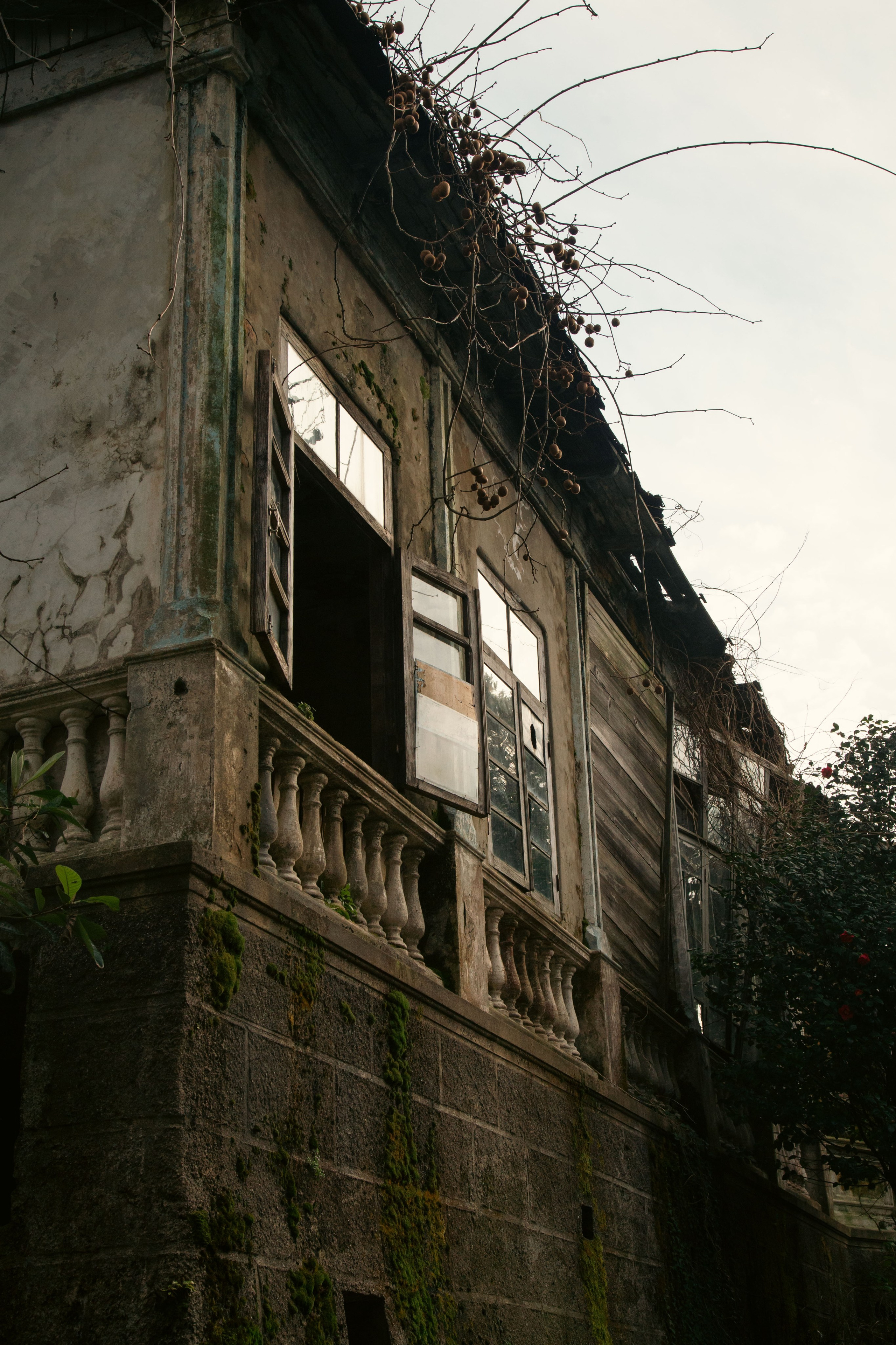 Batumi. Dmitriy [KCCC] is a pretty cool photographer