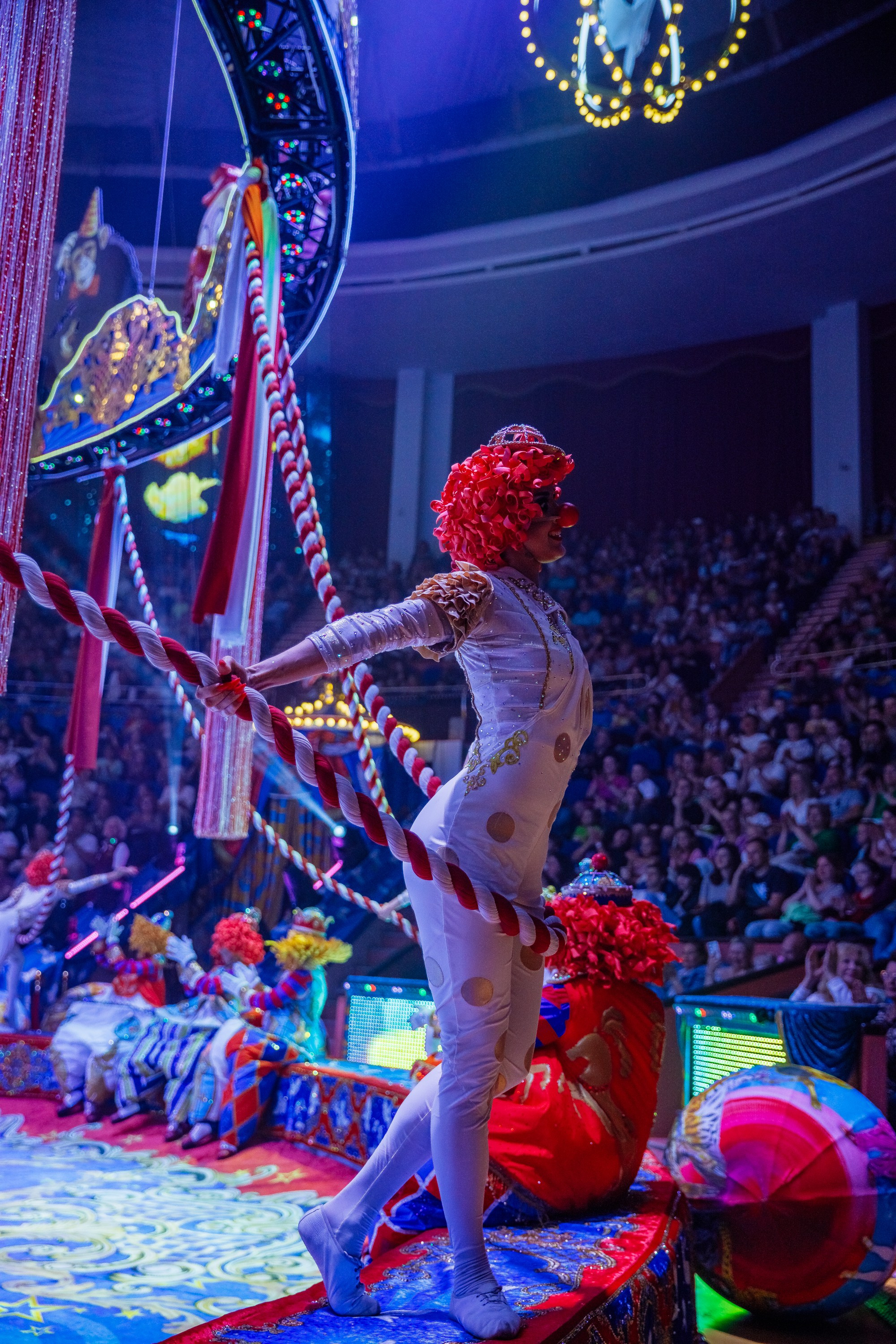 Сочинский росгорцирк Шоу Гии Эрадзе цирк. Профессиональный фотограф в Сочи Виктория Джой. Обучение