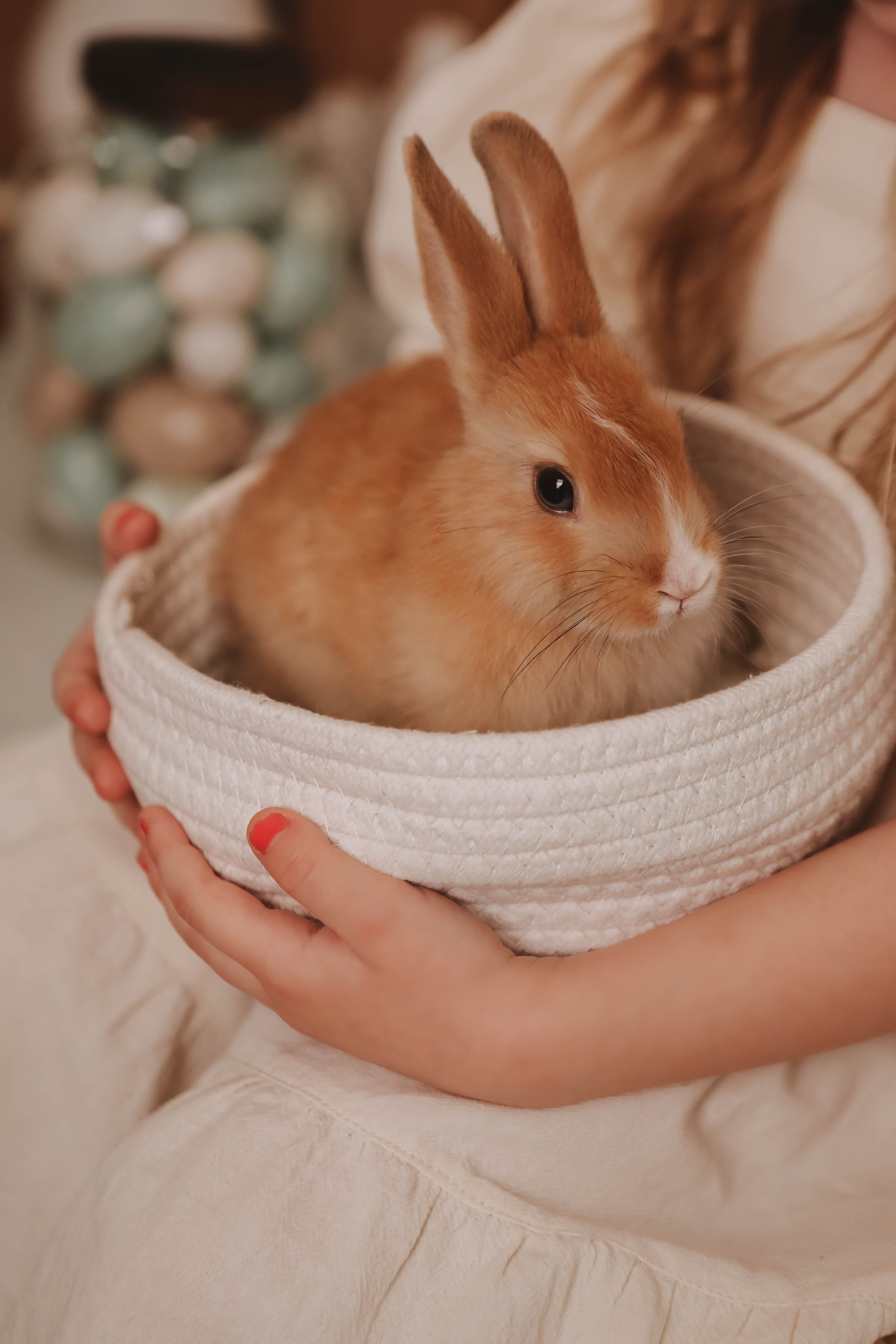 Тандем. Фотограф в Иркутске