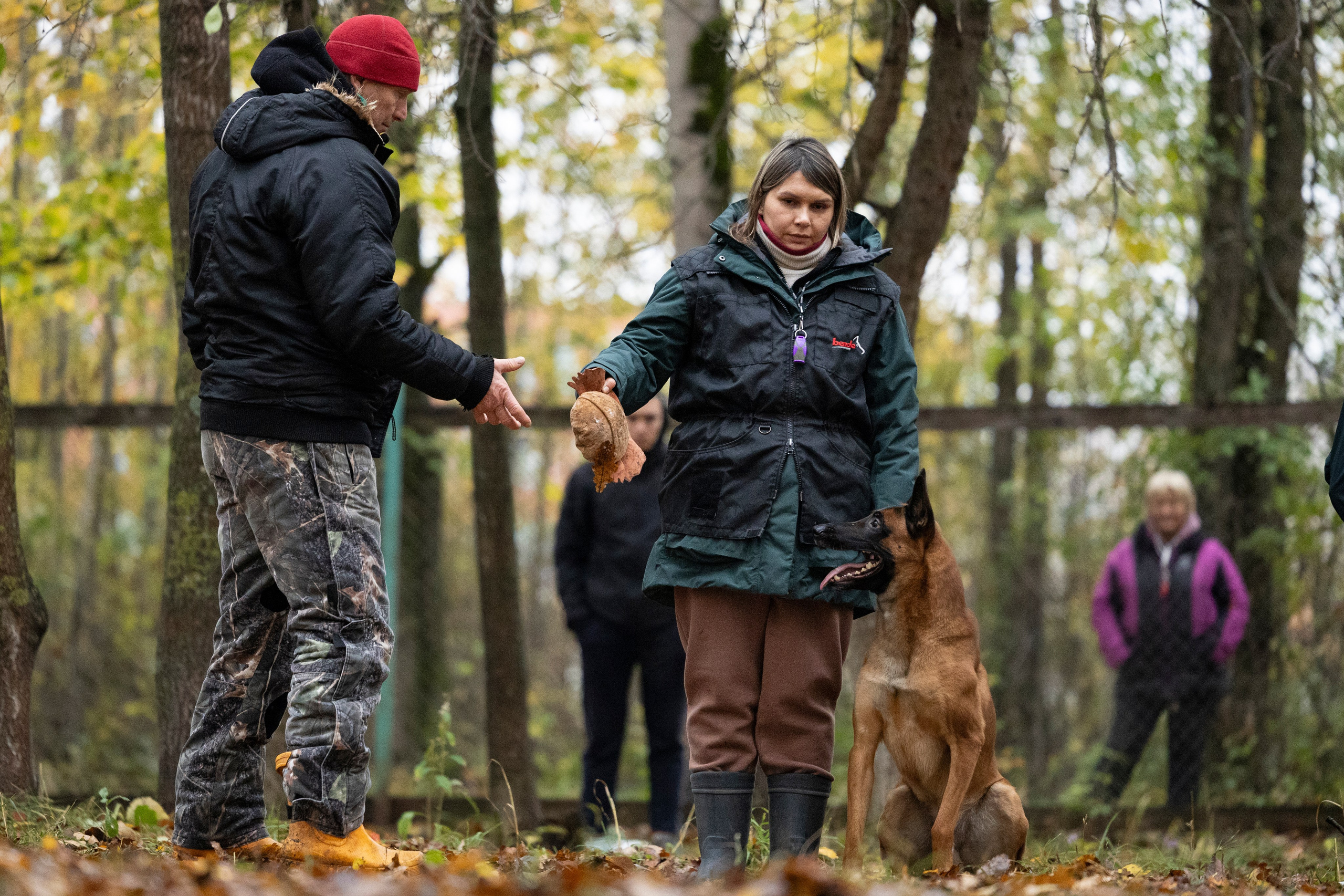 Соревнования по Мондьорингу г. Вологда. Фотограф-анималист Анна Маринич