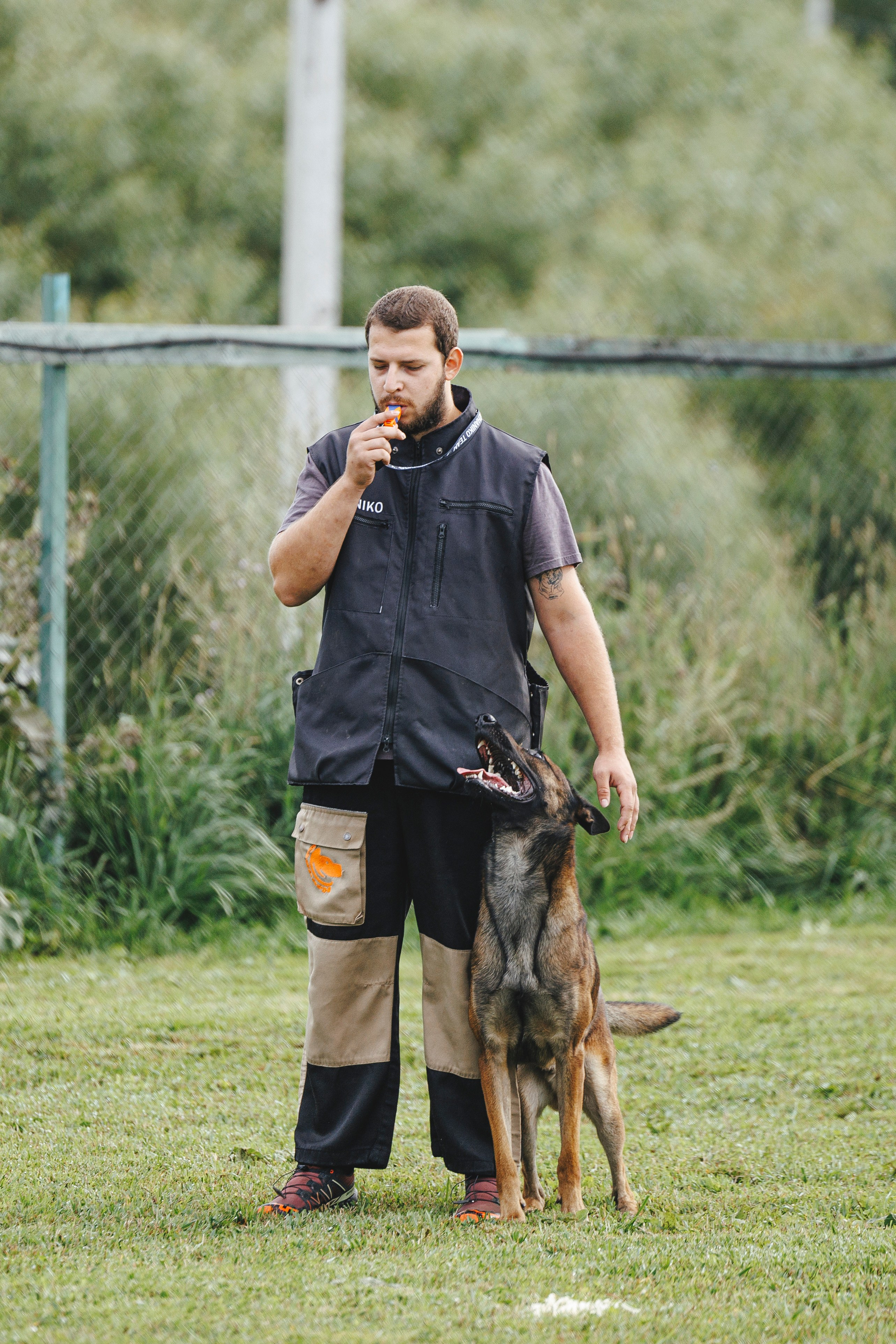 08.08.25-10.08.25 ЧР по мондьорингу г. Вологда. Фотограф-анималист Анна Маринич