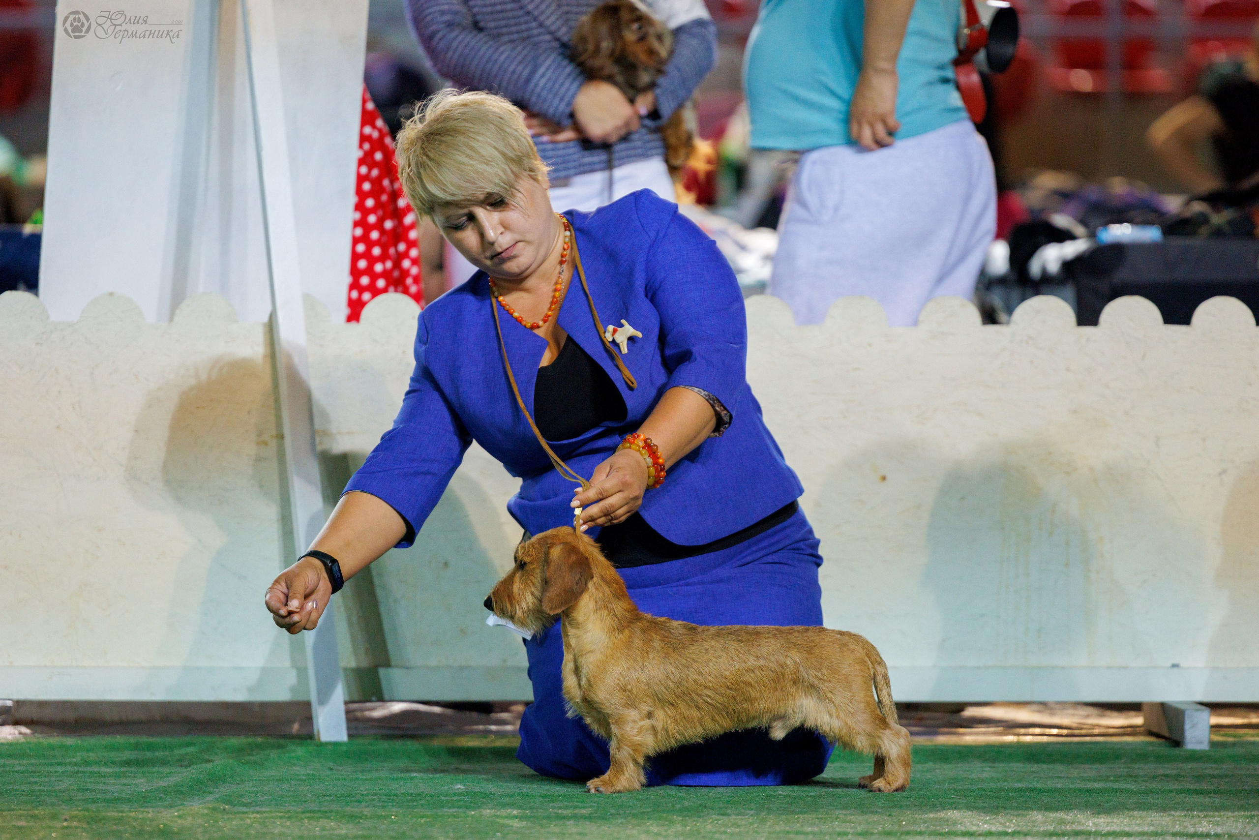 Грузия,Телави 2хCACIB 19-20.10.2024. Фотограф-анималист Юлия Германика