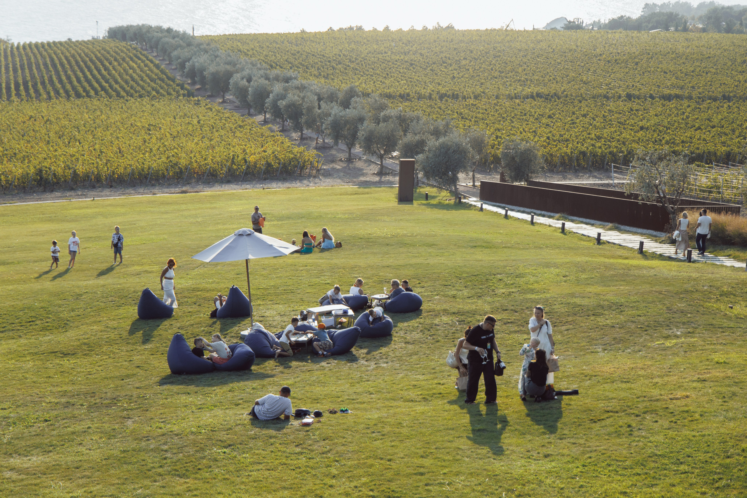 Winepark Fest. Артем Корнев Фотограф