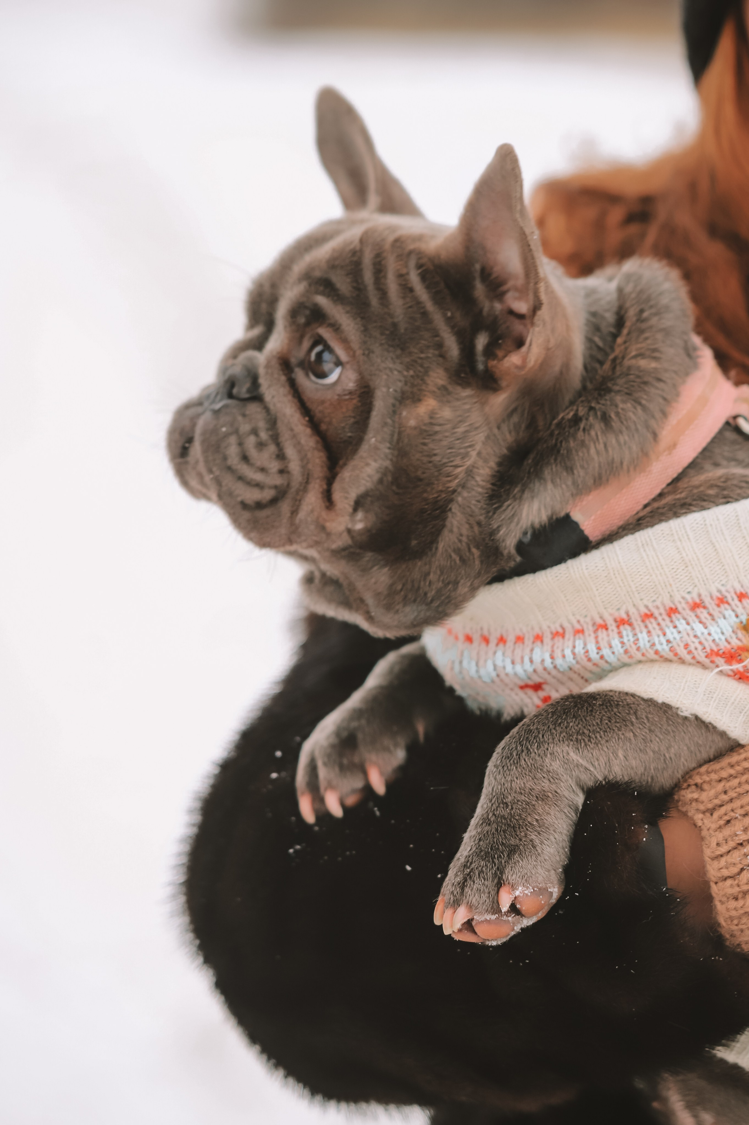 Григорий и Екатерина. Фотограф Москва и МО Анастасия Пясковская