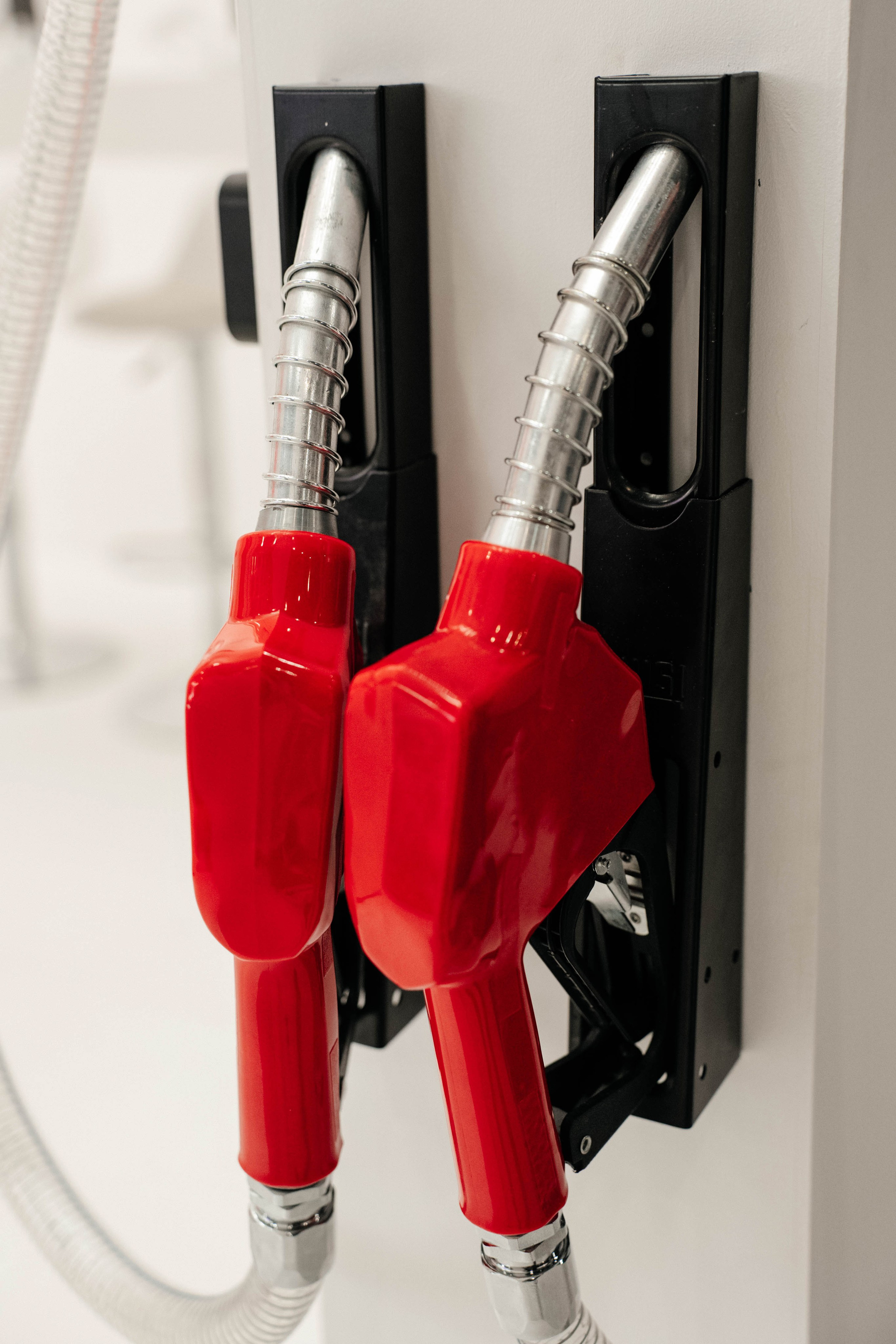 FINO POLIS|2023. Свадебный фотограф Москва Александра Аверкова