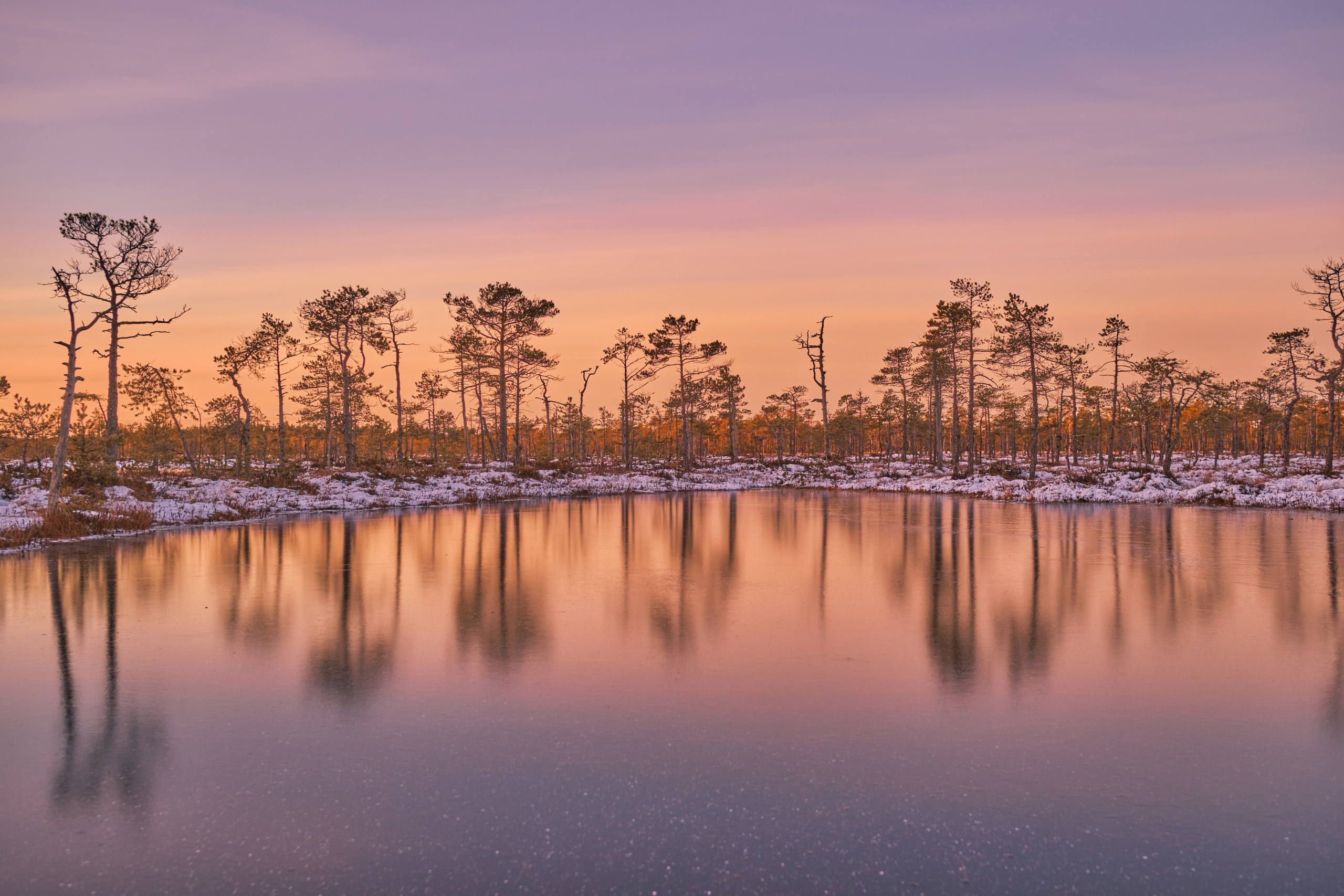 Алиса Северная. Визуальные исследования. Пейзажная и документальная фотография