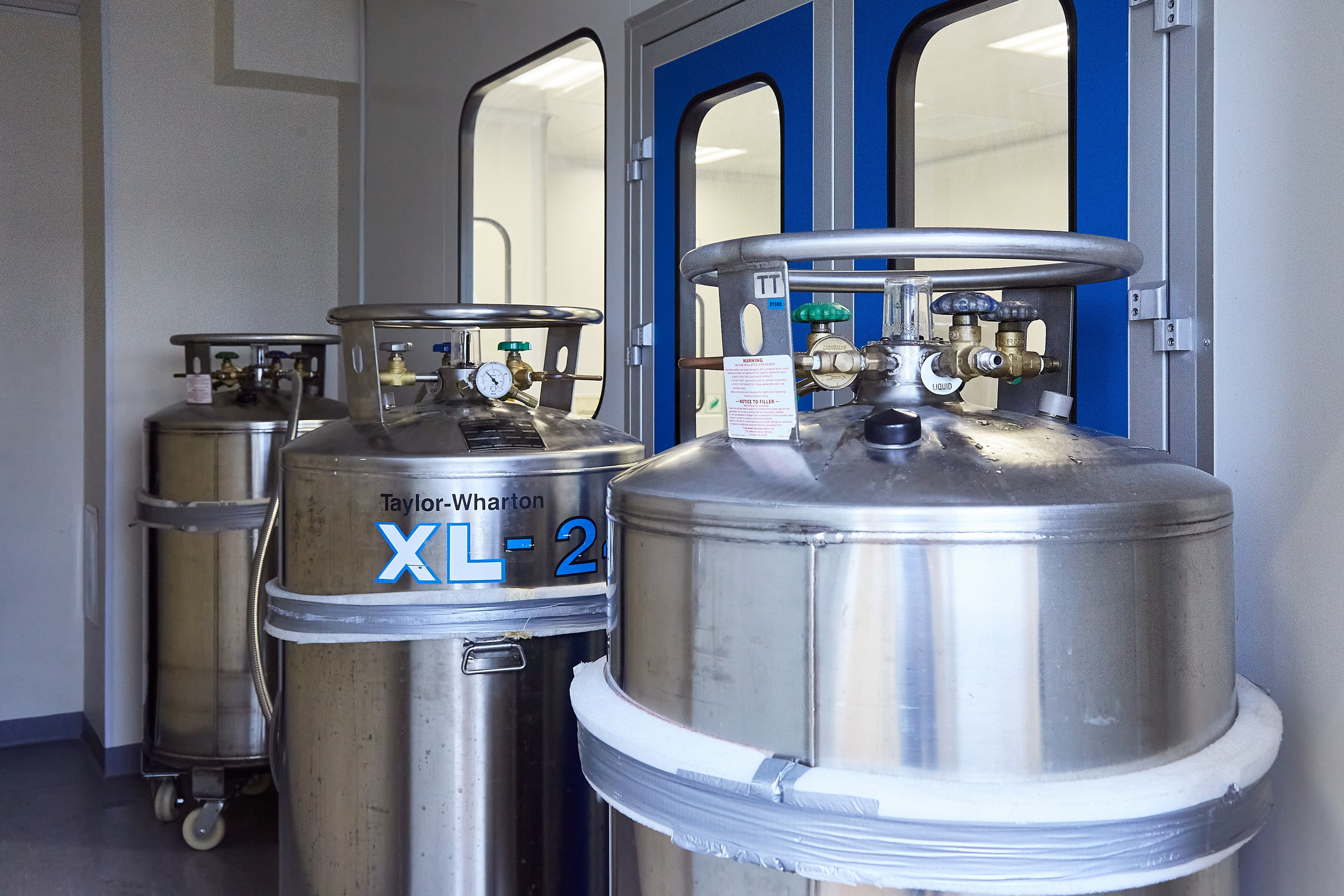 Банк стволовых клеток Транс-Технологии. Фотограф Анастасия Леонтьева Санкт-Петербург