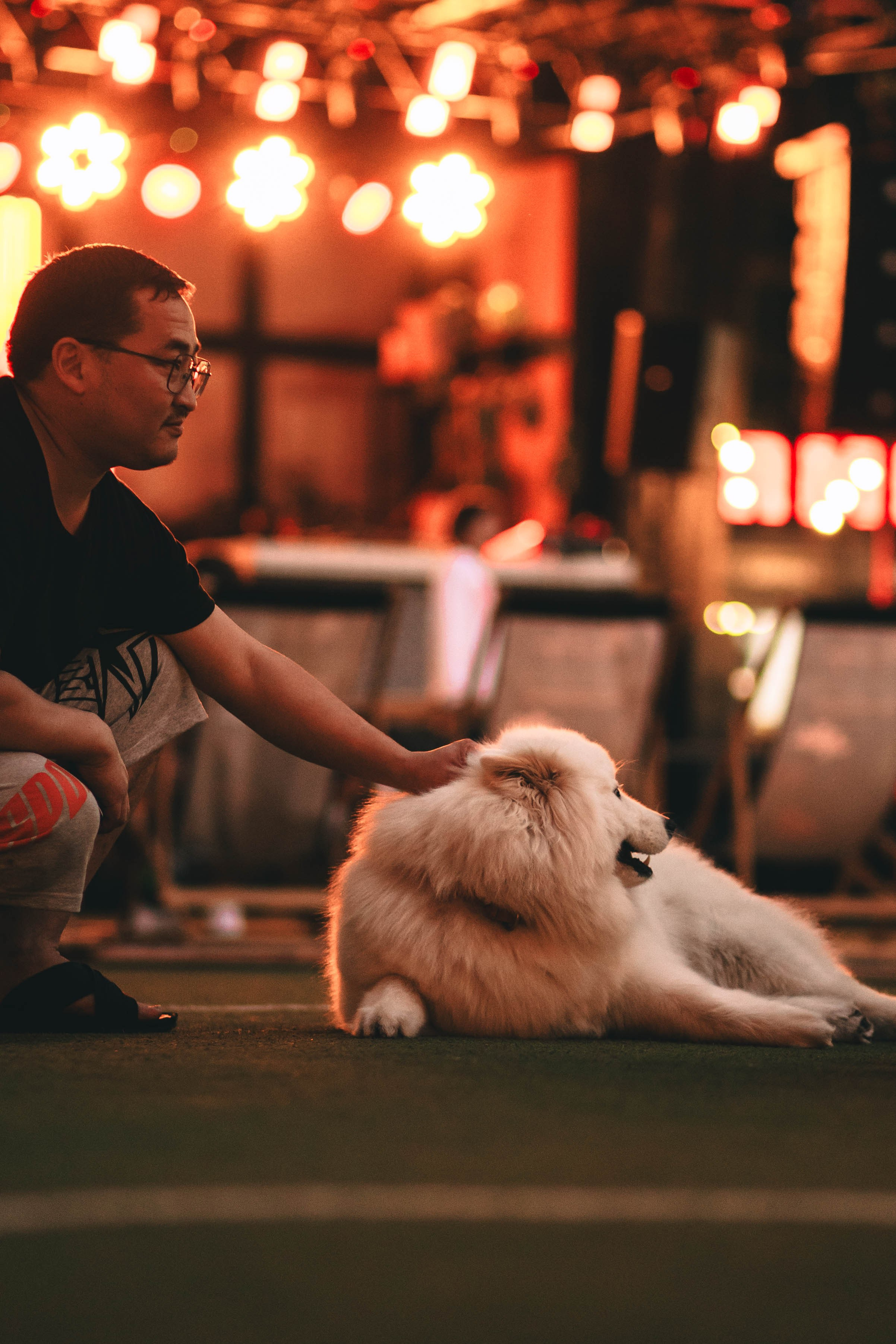 Pet-Party + Live-music |Парк Культуры. Фотограф в Ставрополе Алина Клочкова