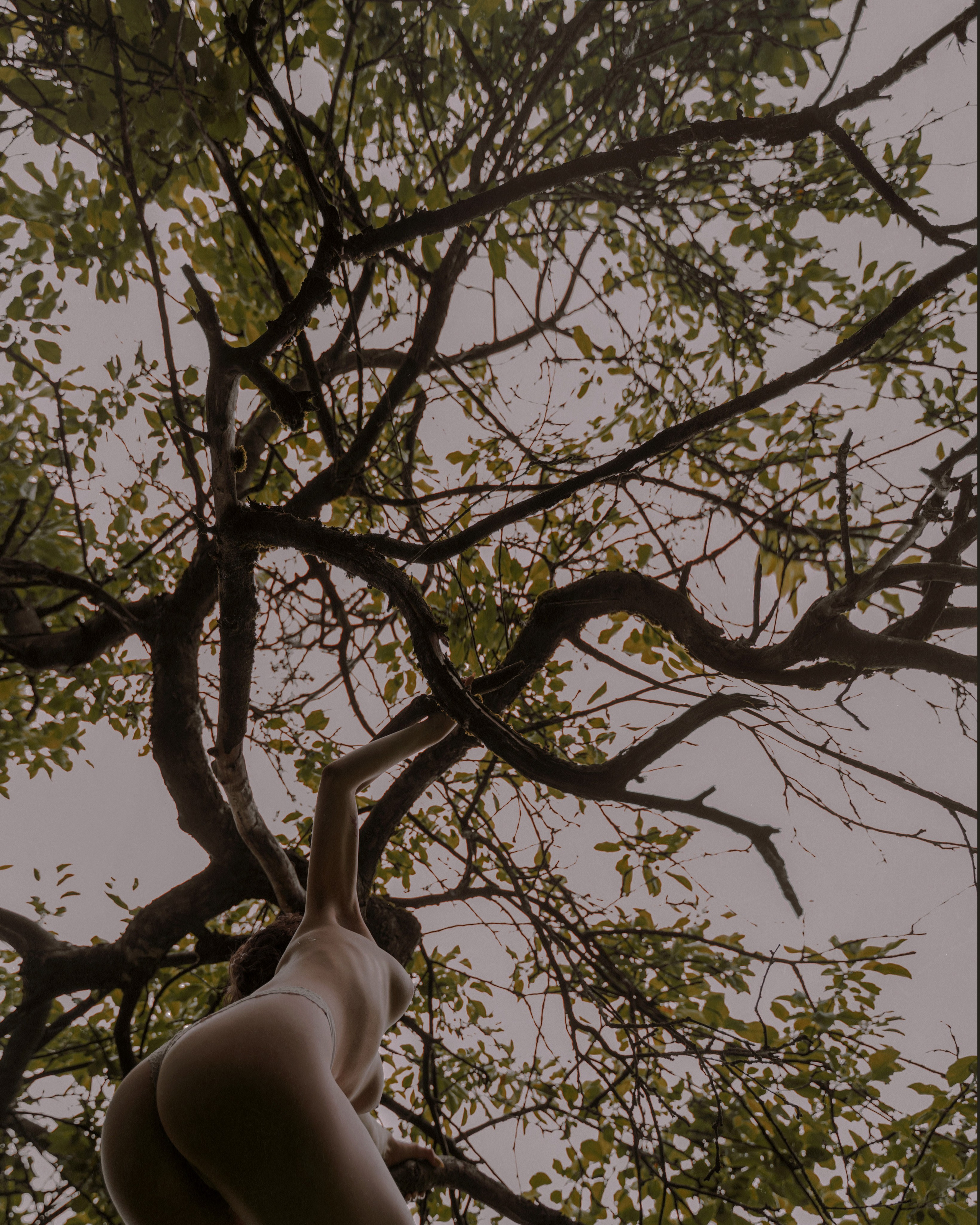 Parts. Фотограф, оператор, режиссер монтажа в Москве Сюзанна Евсюкова