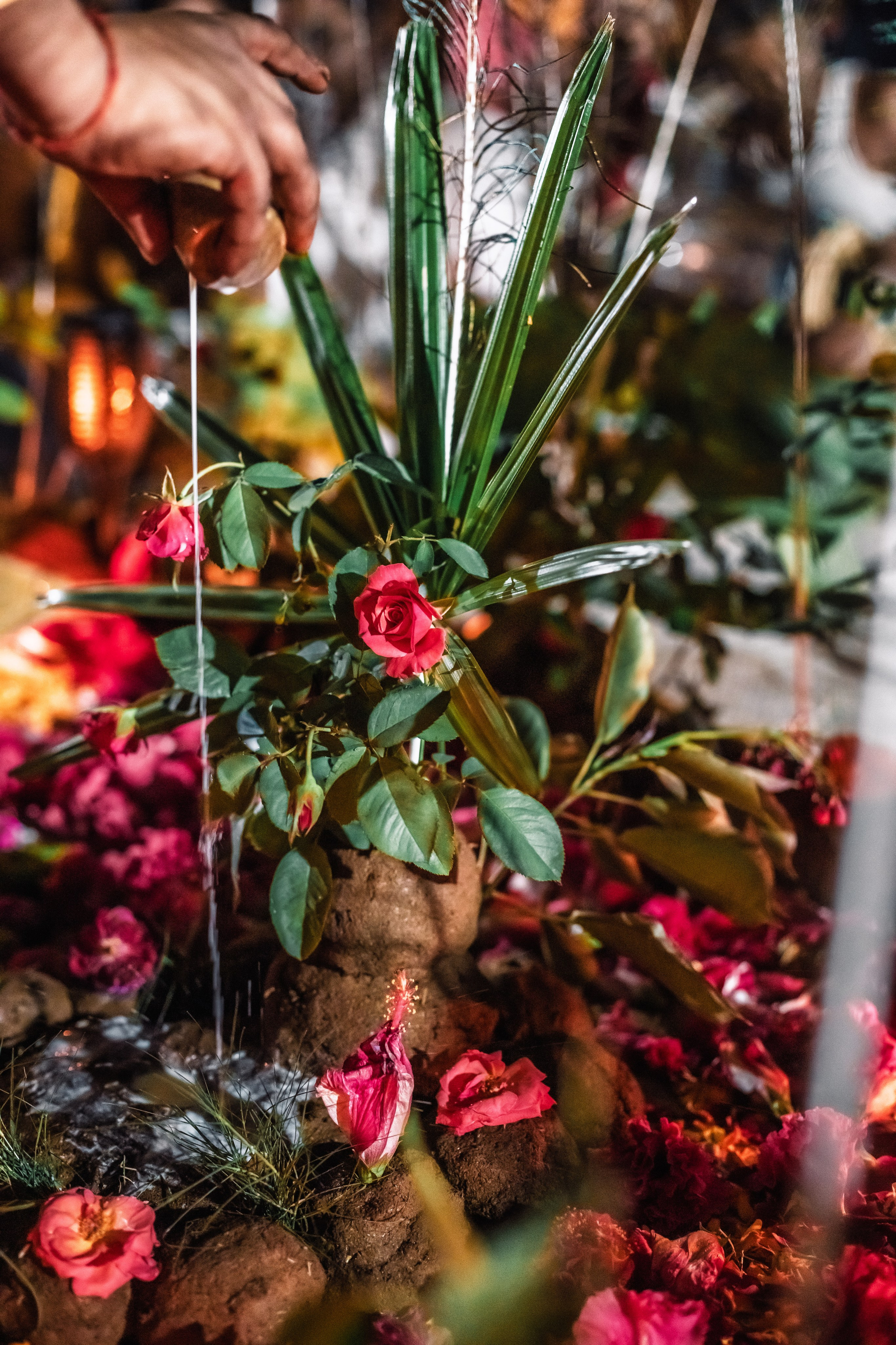 Govardhana puja. Мариам Багдасарян